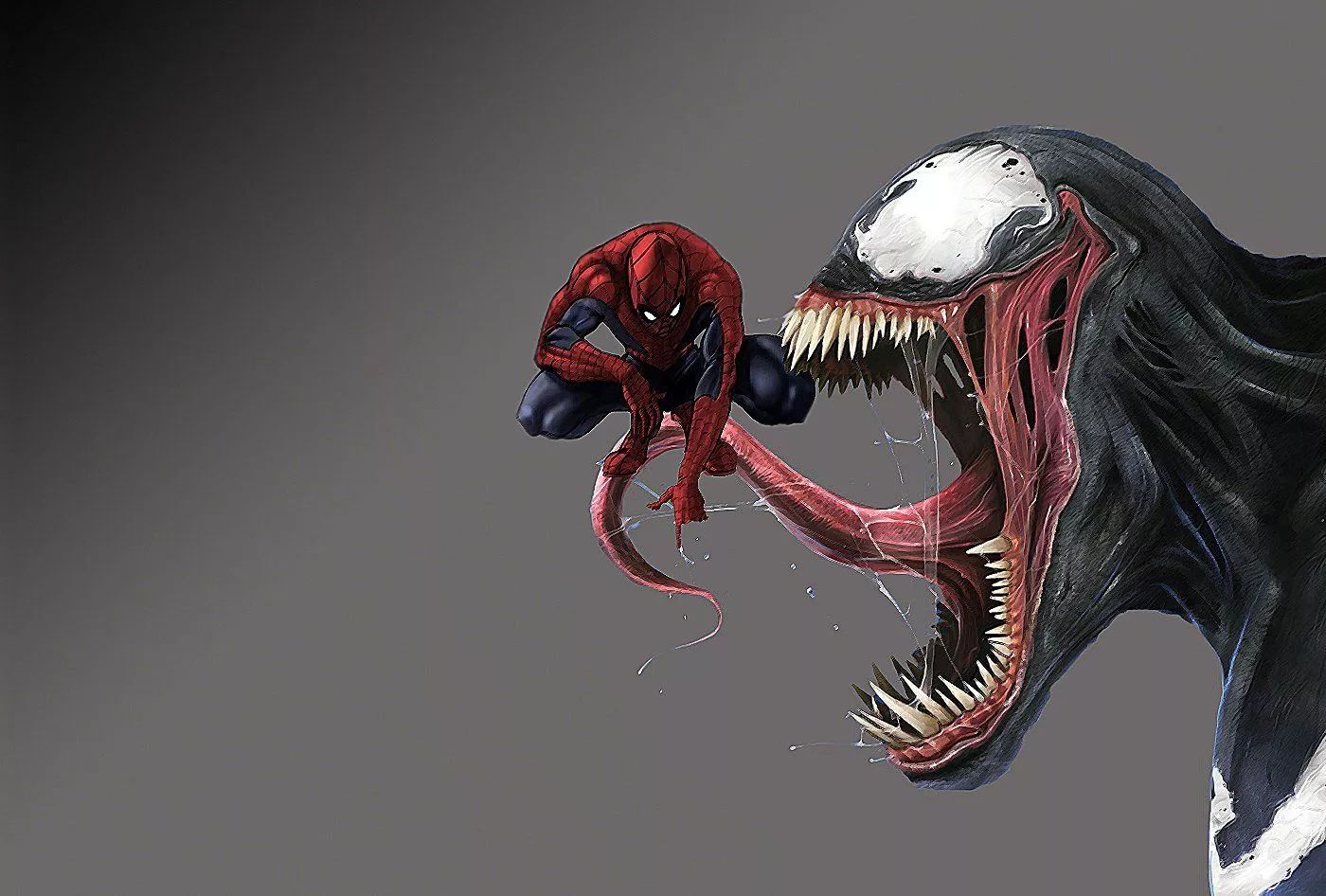 Epic Venom Vs. Spider Man HD Wallpaper
