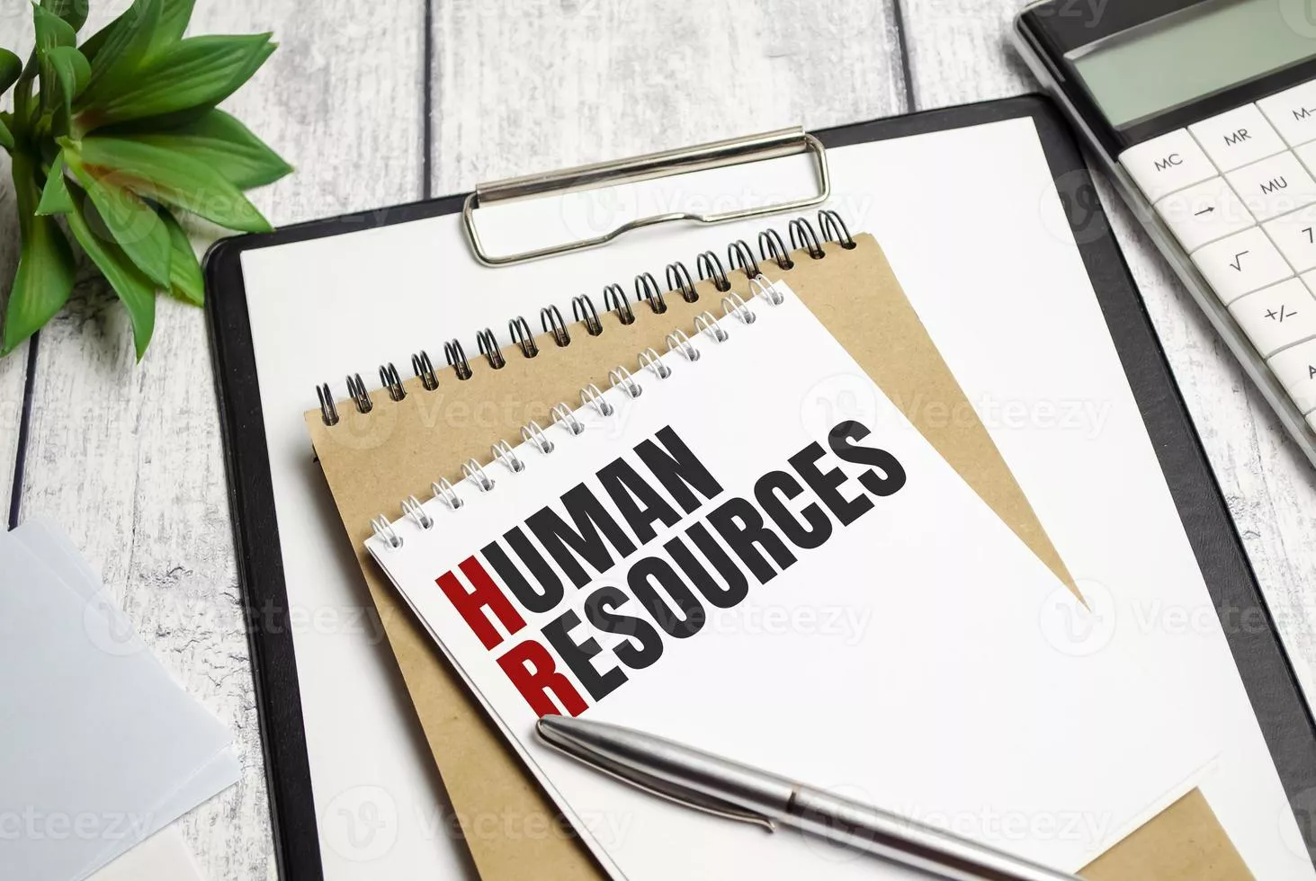 Human Resources Background