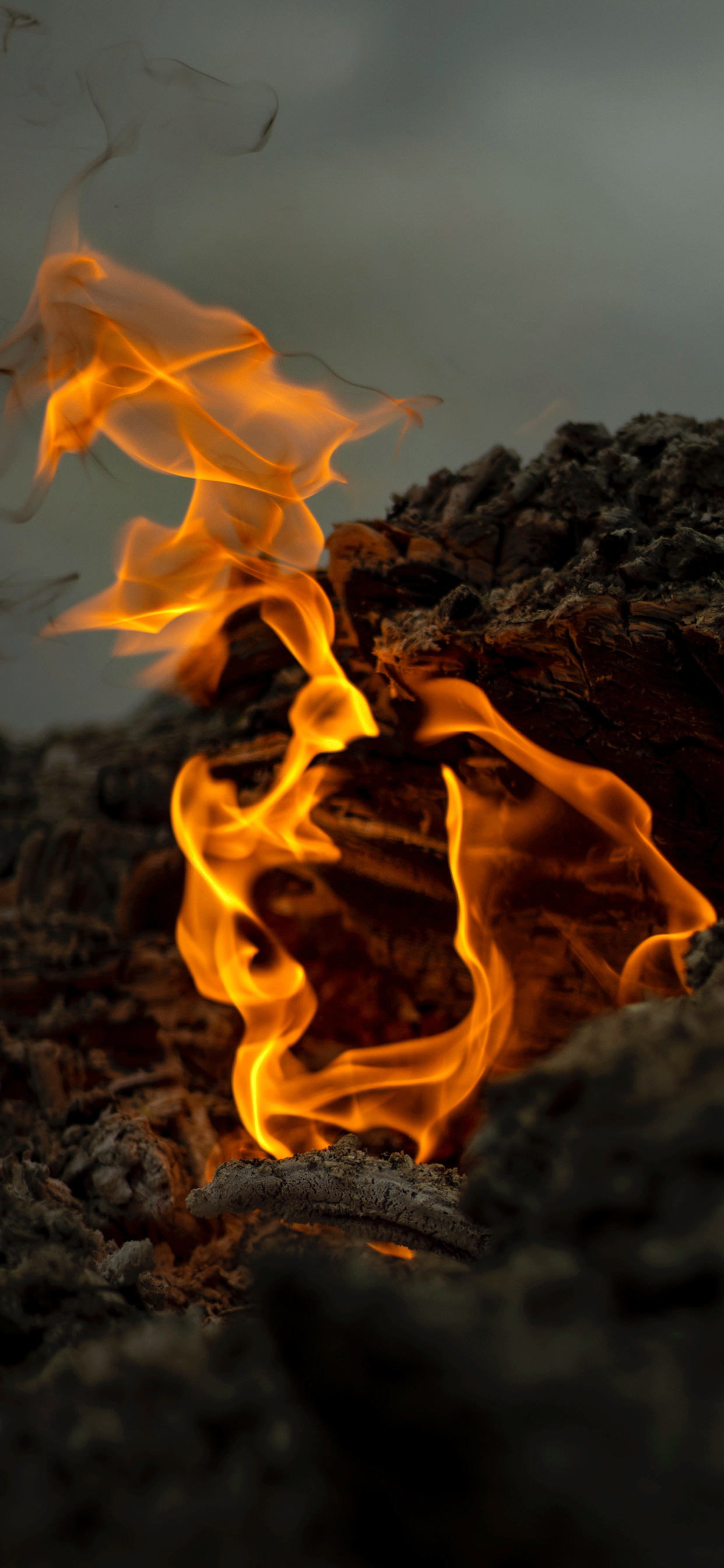 Fire Wallpaper for iPhone 11, Pro Max