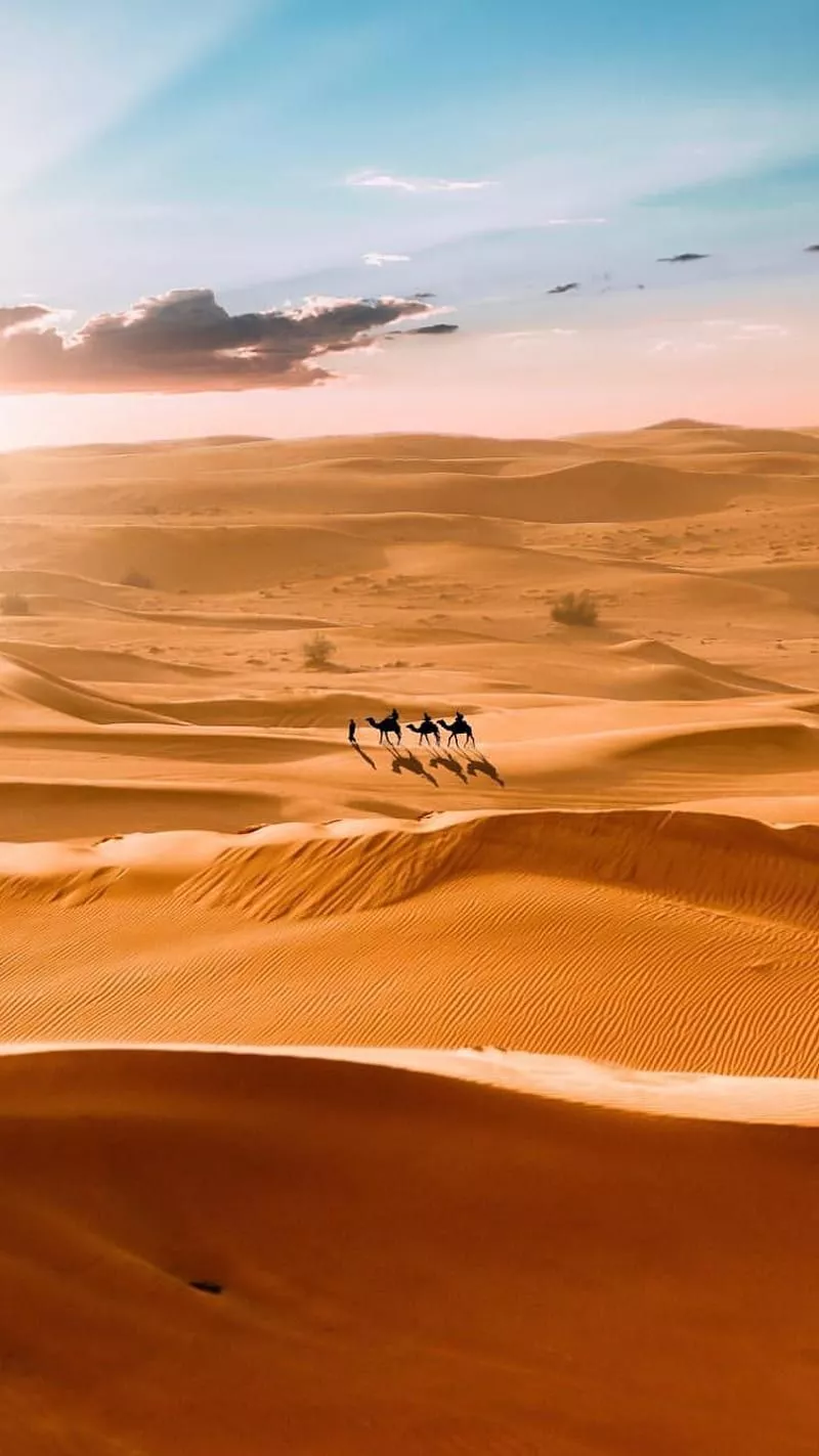 Sahara, desert, dunes, nature, sand, HD