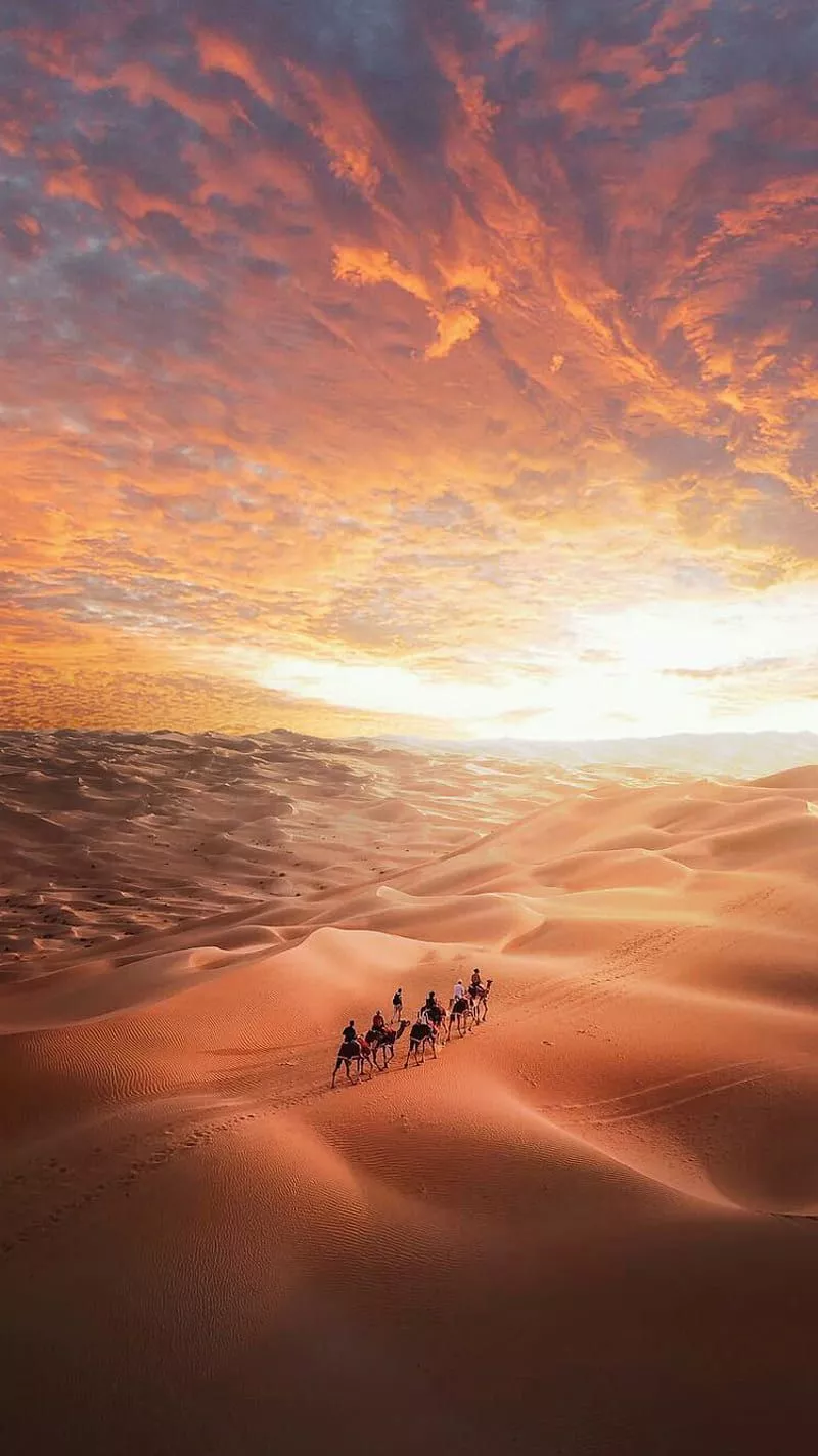 Desert, camels, clouds, nature, sahara
