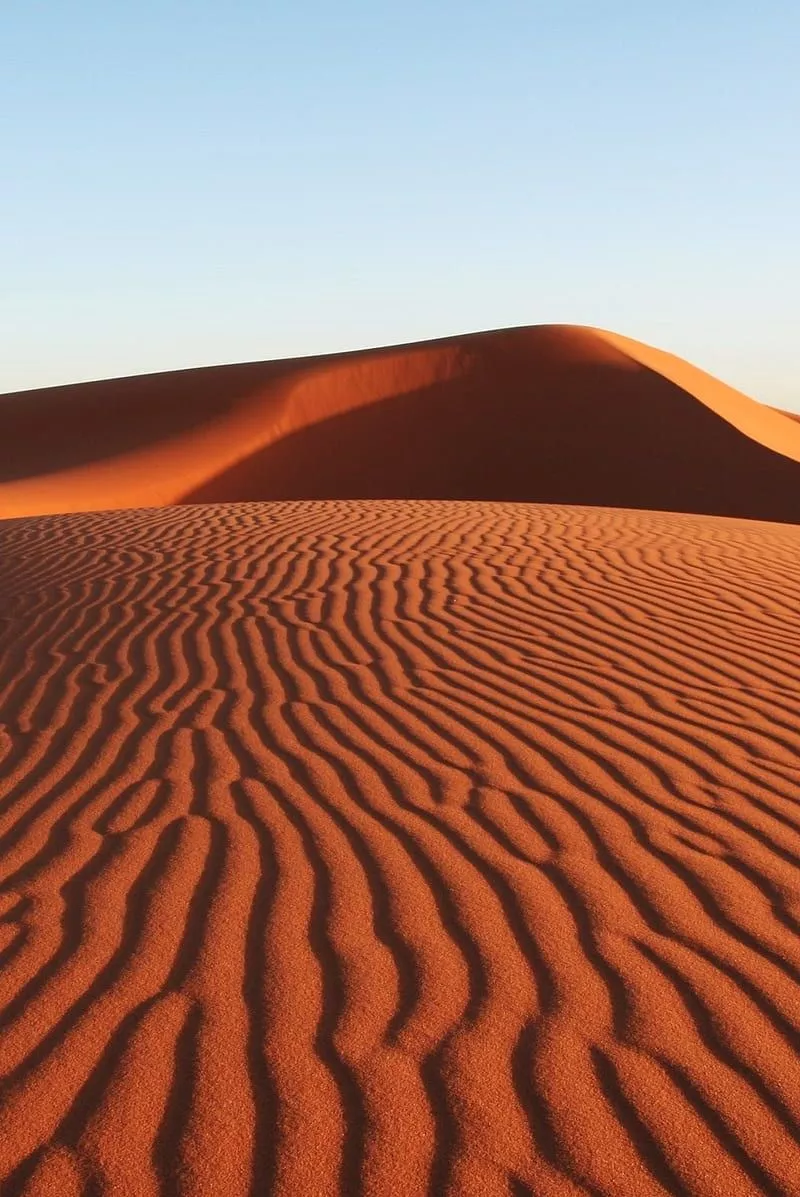 Sahara235, desert, sahara, HD phone