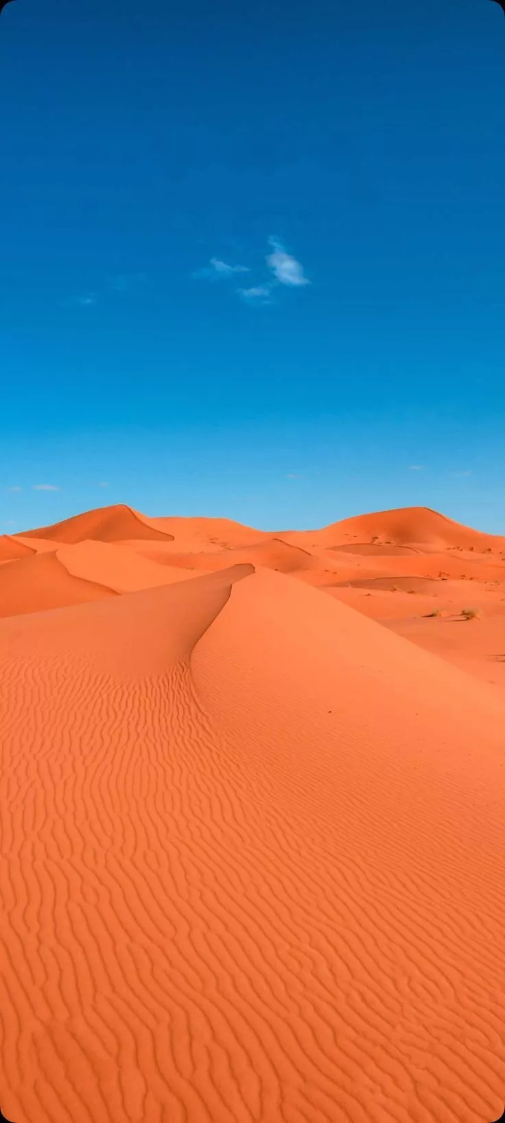 Sahara Desert