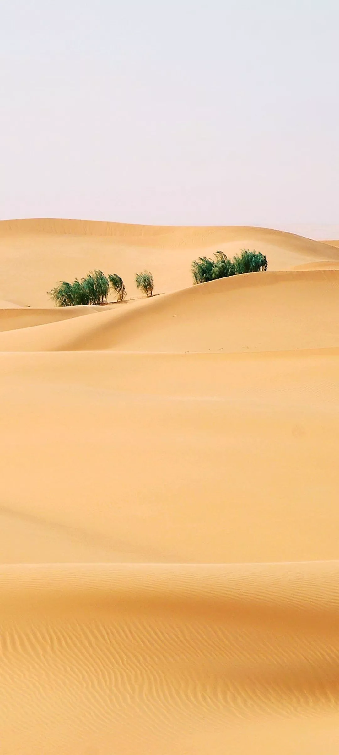 Africa Sahara Sand Nature Desert