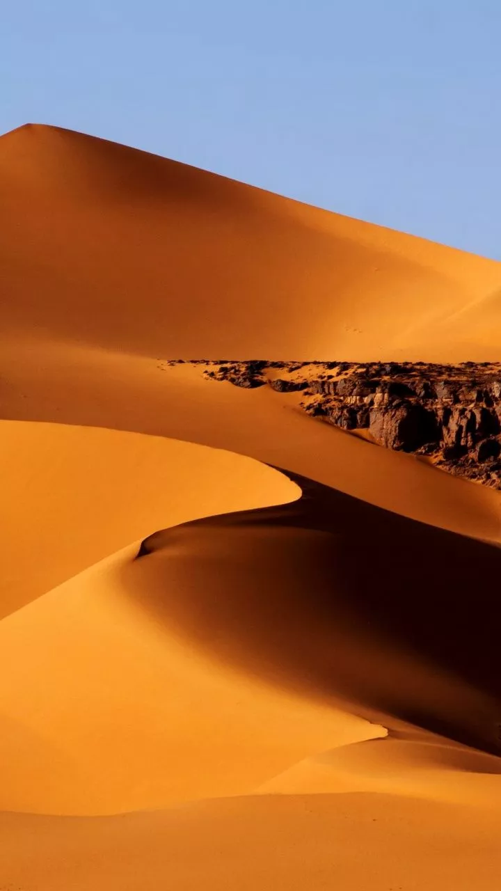 Algeria, desert, dunes, sand, 720x1280