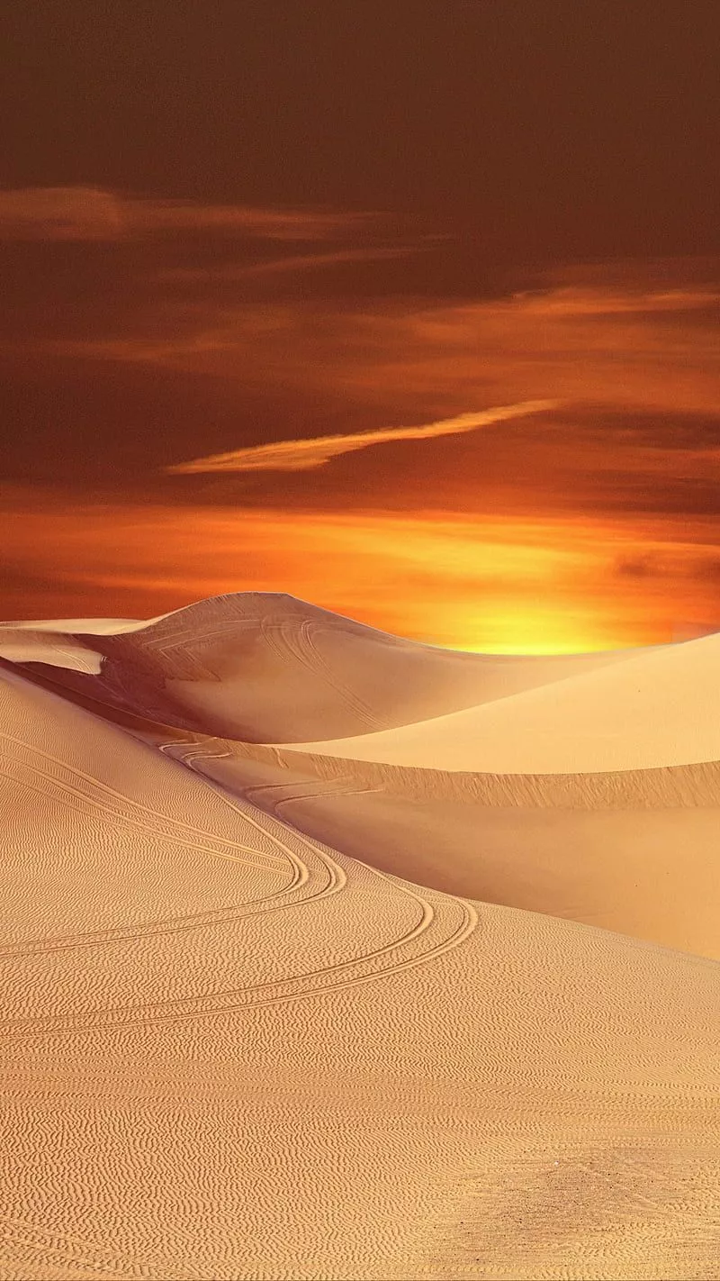 Desert Sunset, desert, dunes, nature