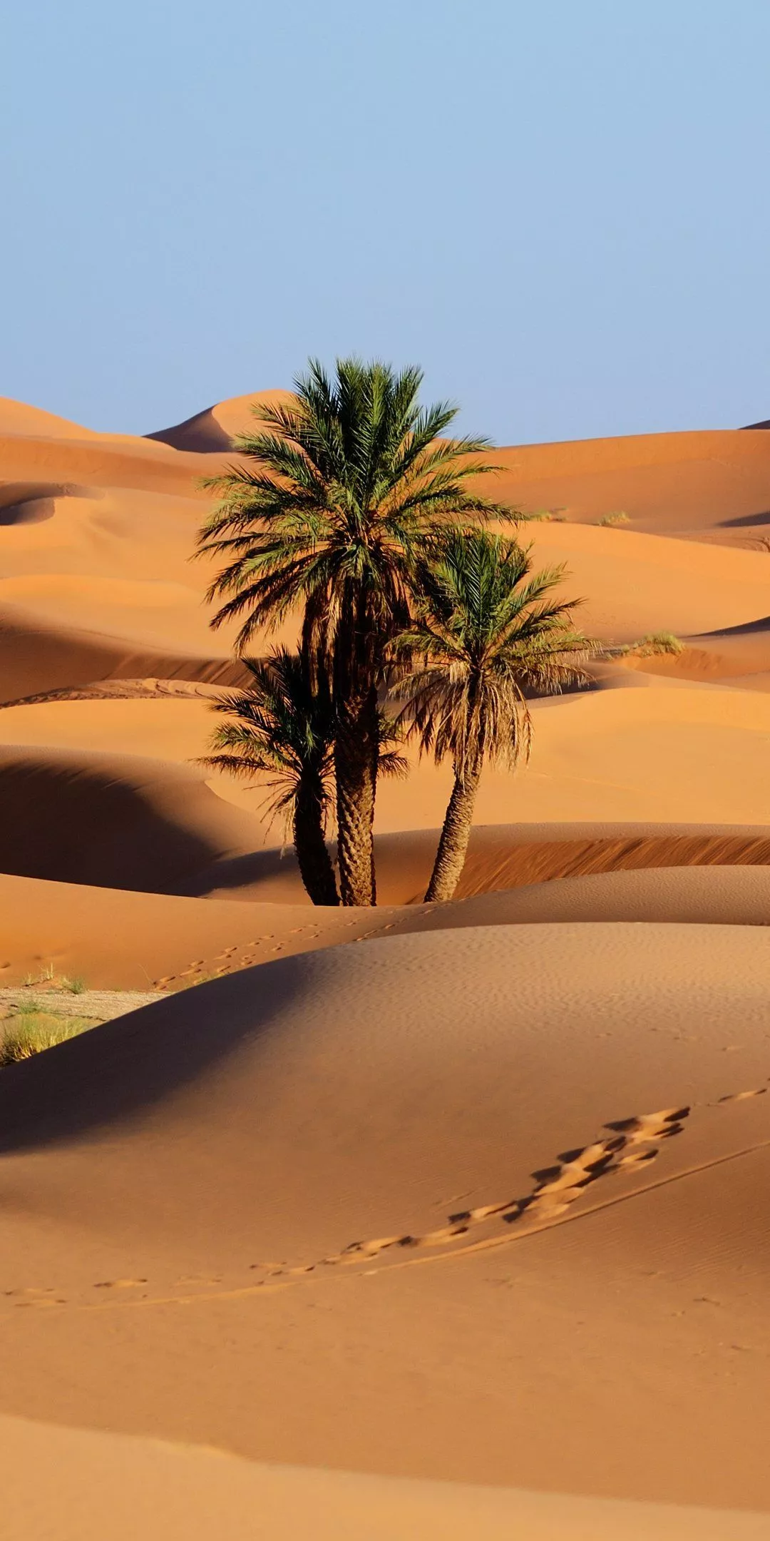 Download Sand Dune Sand Morocco Nature