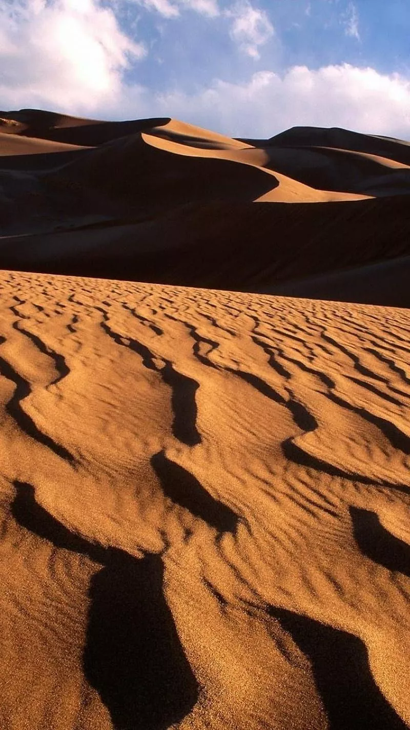 Algerian Sahara, algeria, dunes