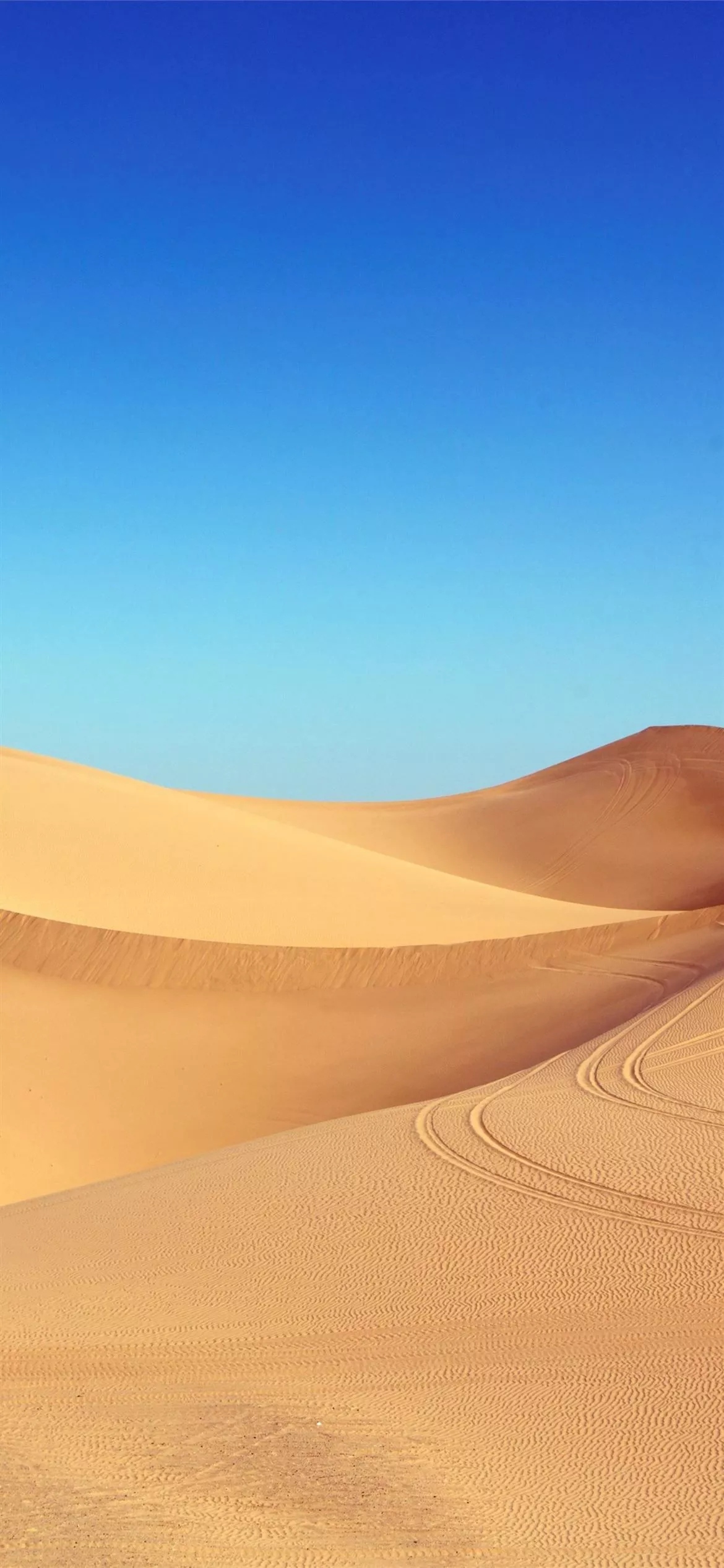 sahara desert sand clean skyline blue