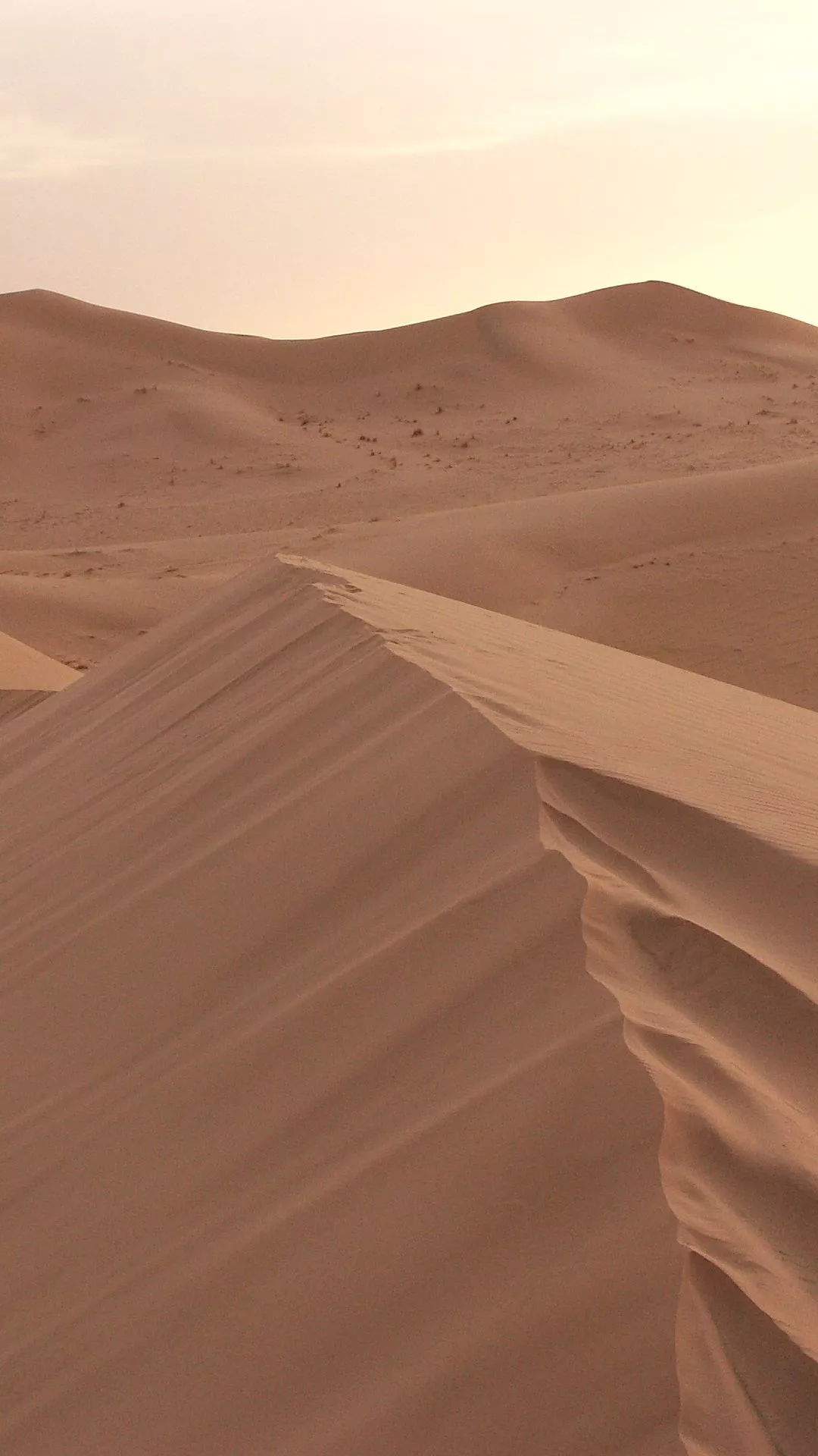 Download Sahara wallpaper for mobile