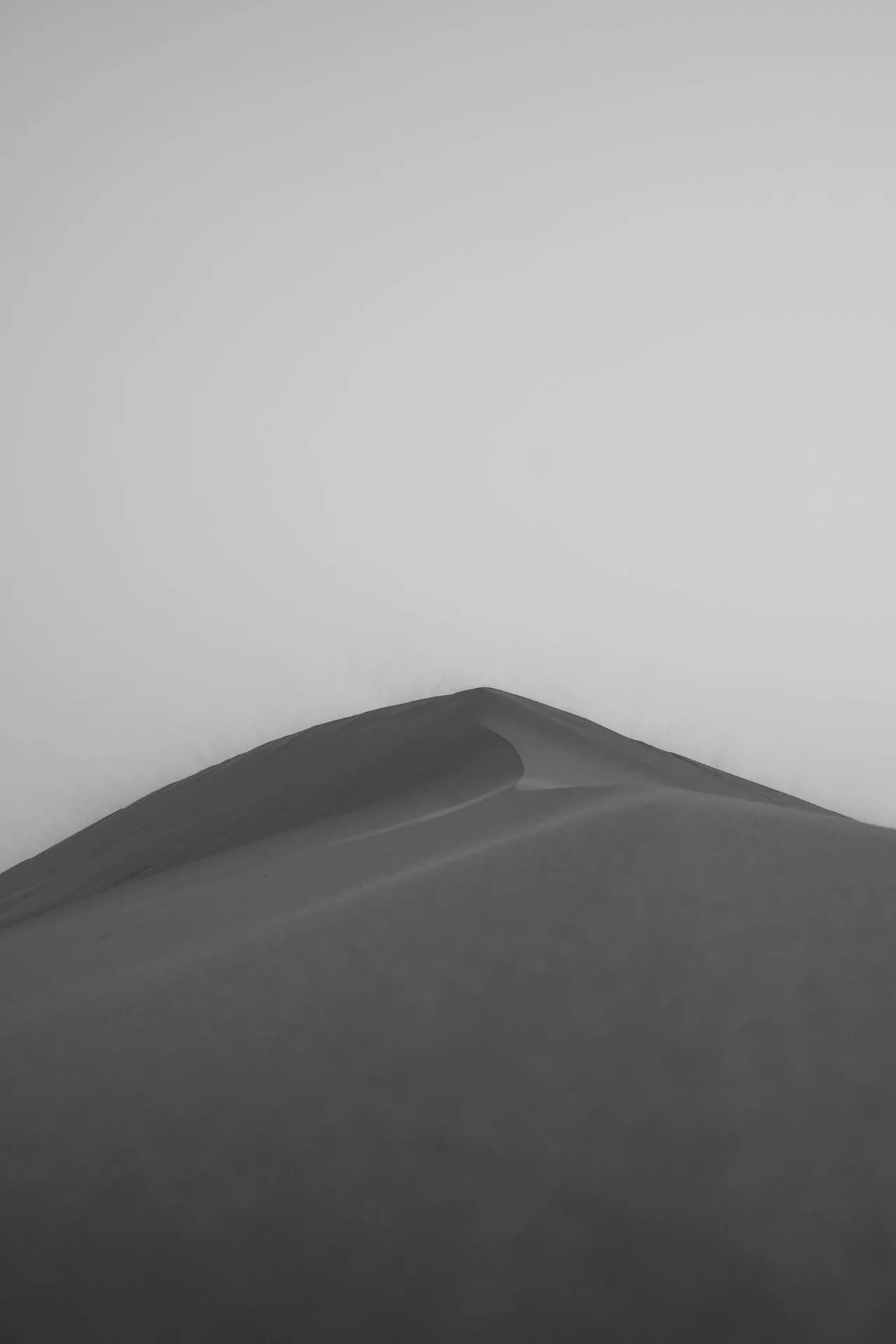 Download Sahara Landscape In Monochrome