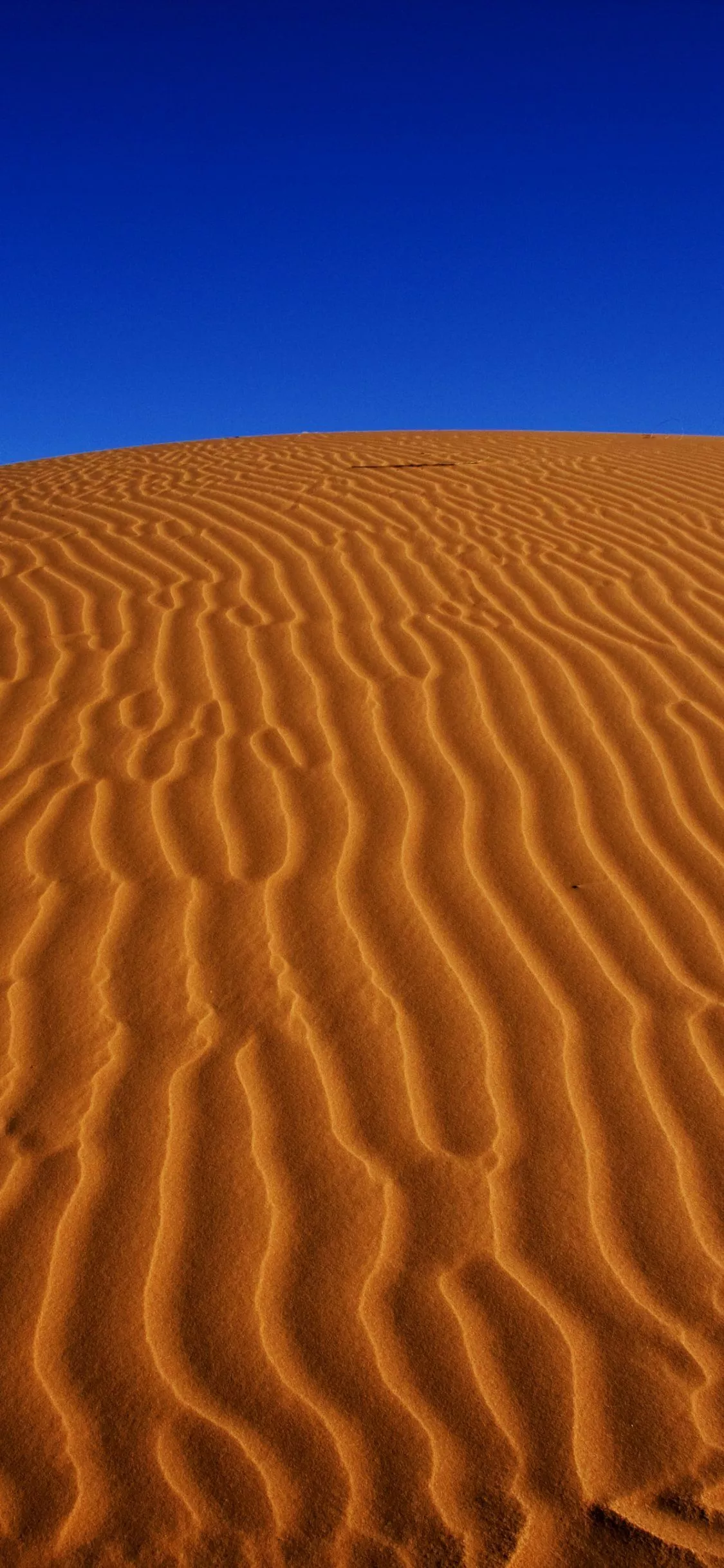 Download Sahara Sand Dune Sky Sand
