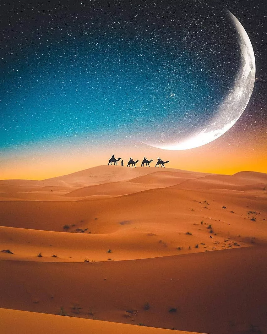 Sahara, sahara camel night HD
