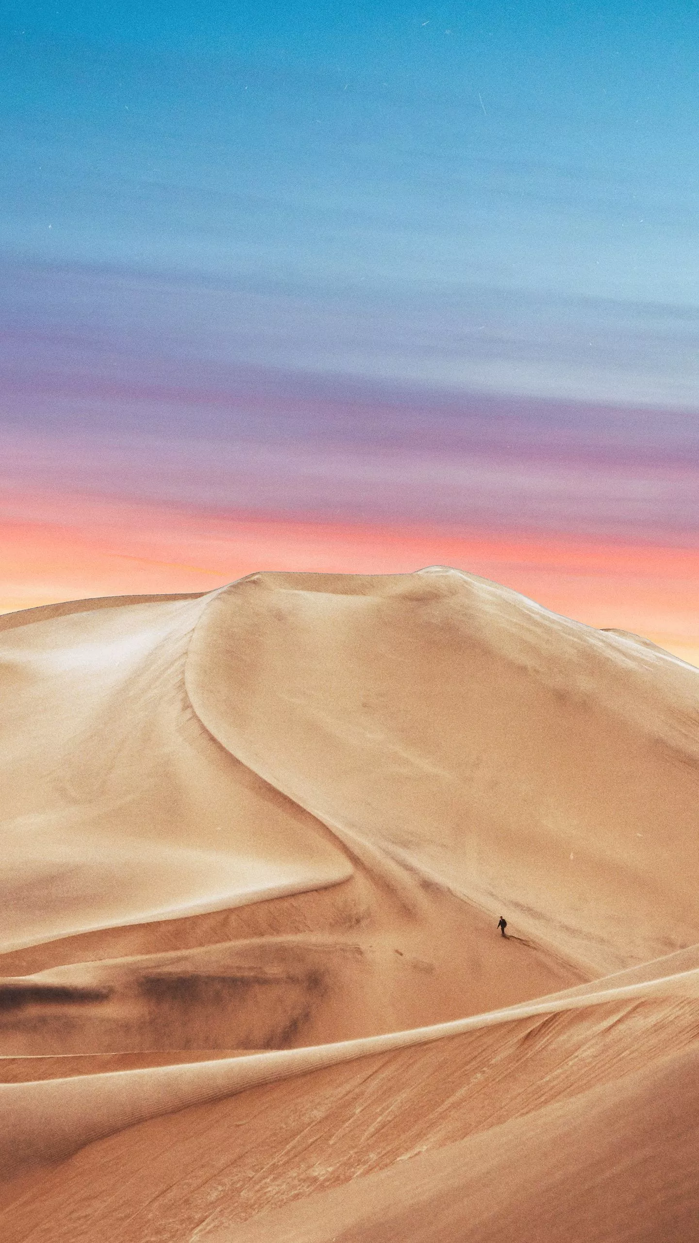 Phone Wallpaper the Younger