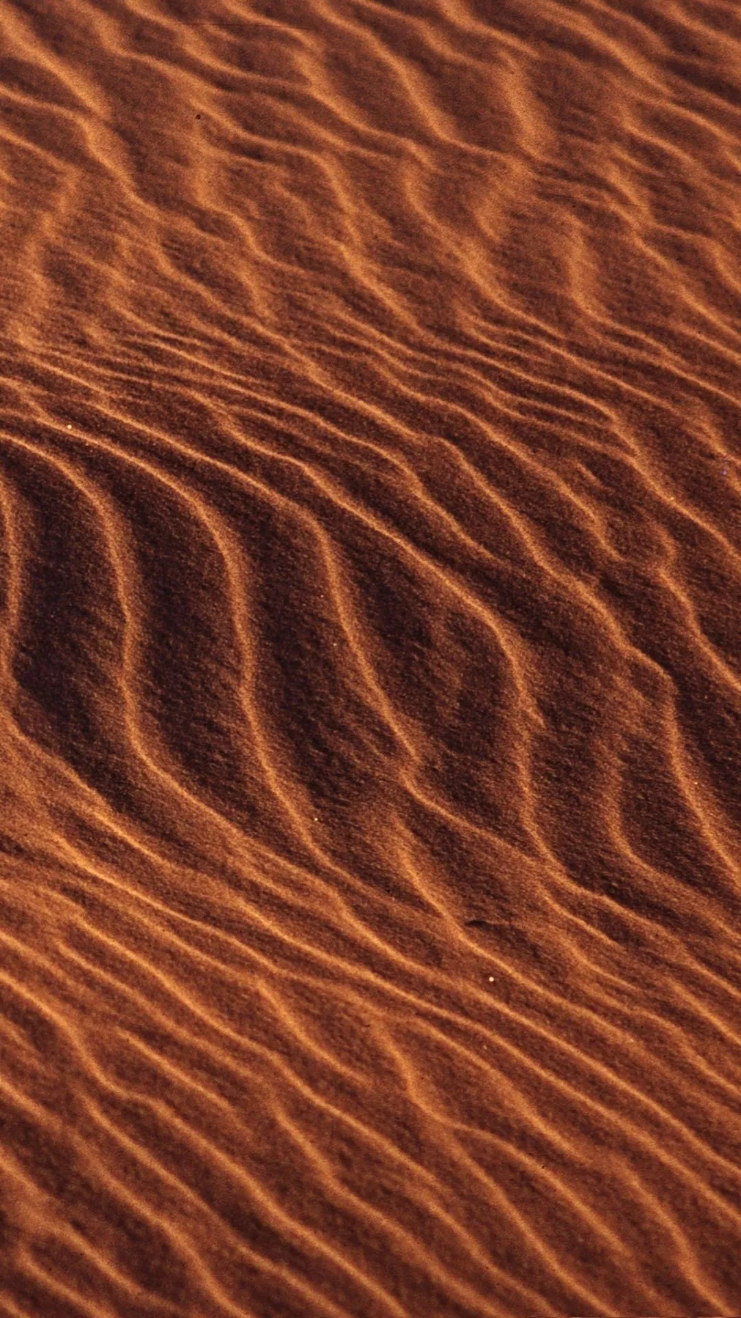 Download Sahara Sand Africa Algeria