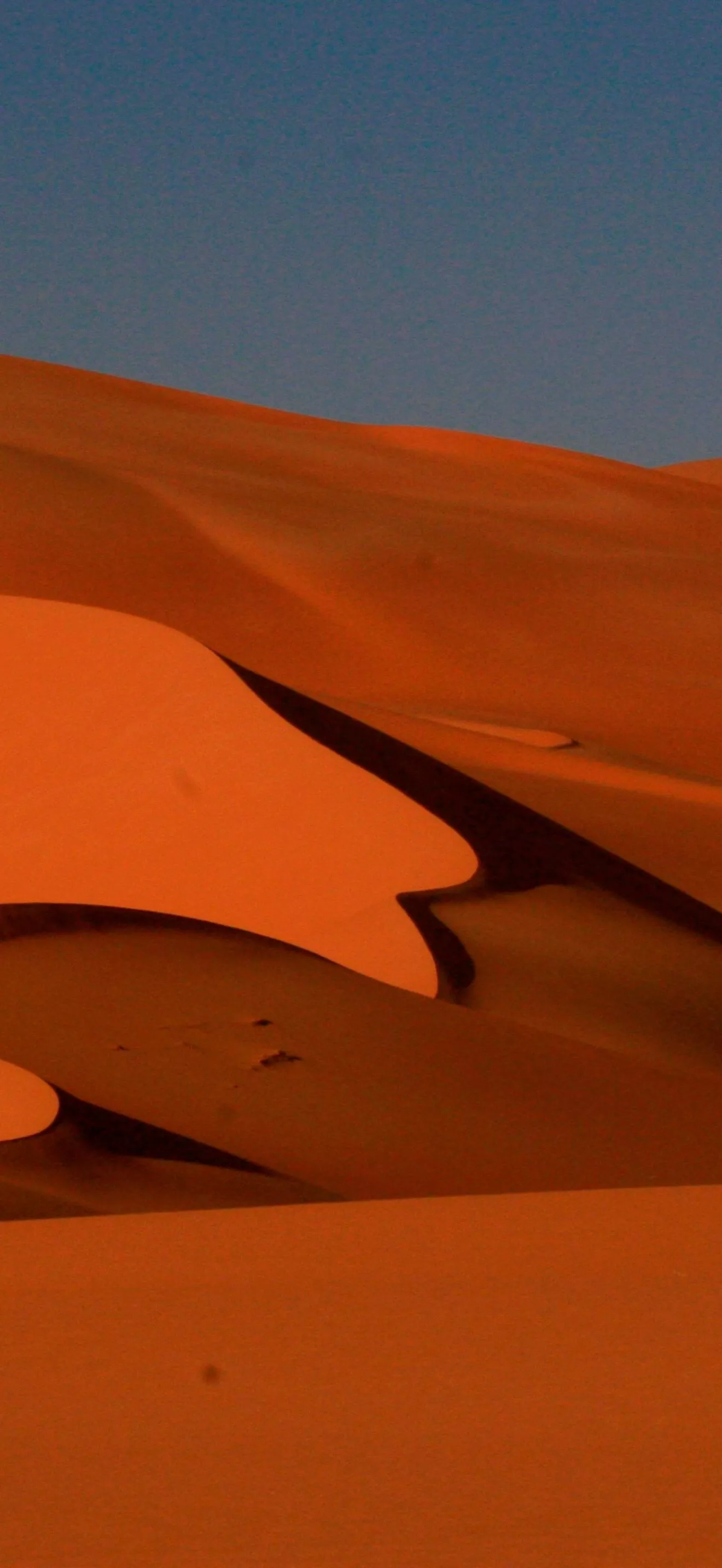 iPhone 16 Pro Desert Titanium desert