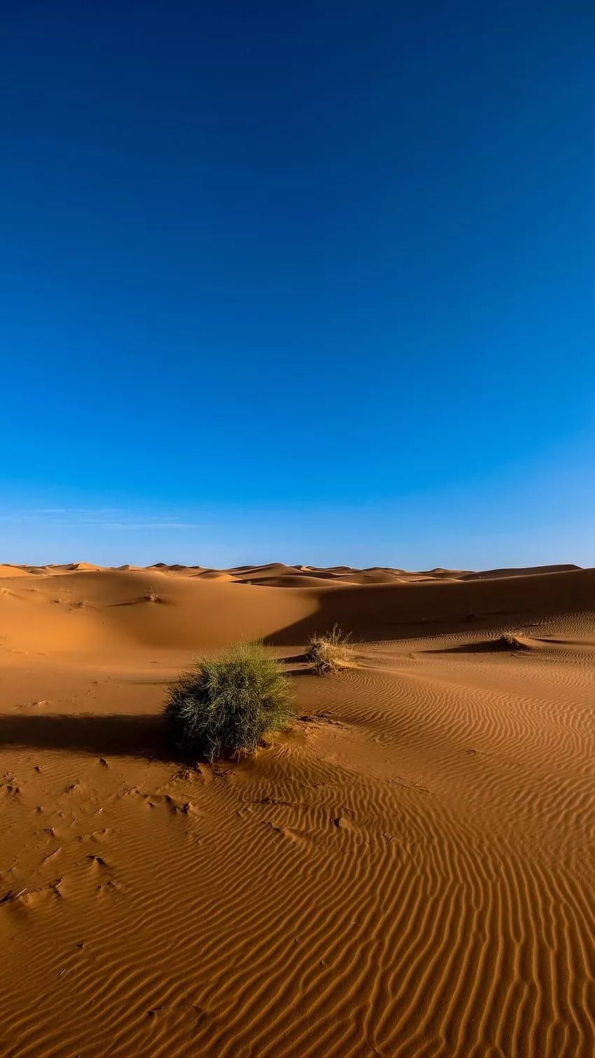 Sahara, Desert, Sand, Sky HD