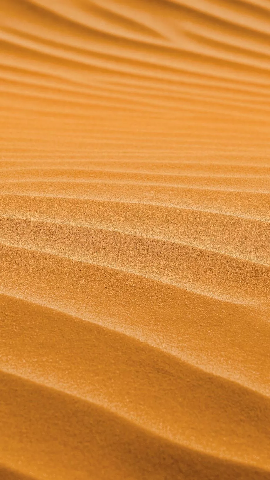 Sahara Sand Dunes Free Download