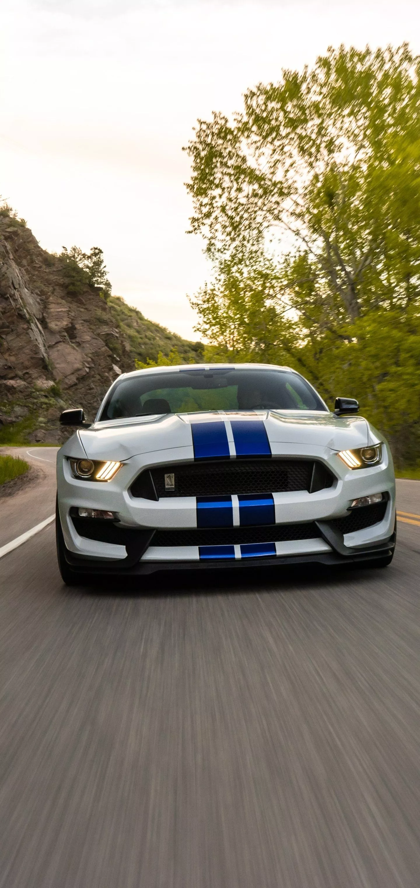 Download Muscle Car Vehicle Car Ford