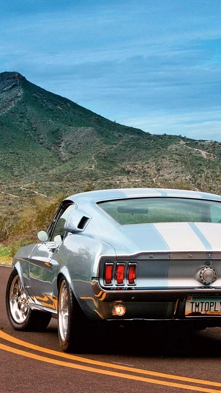 Download Shelby Gt500 wallpaper