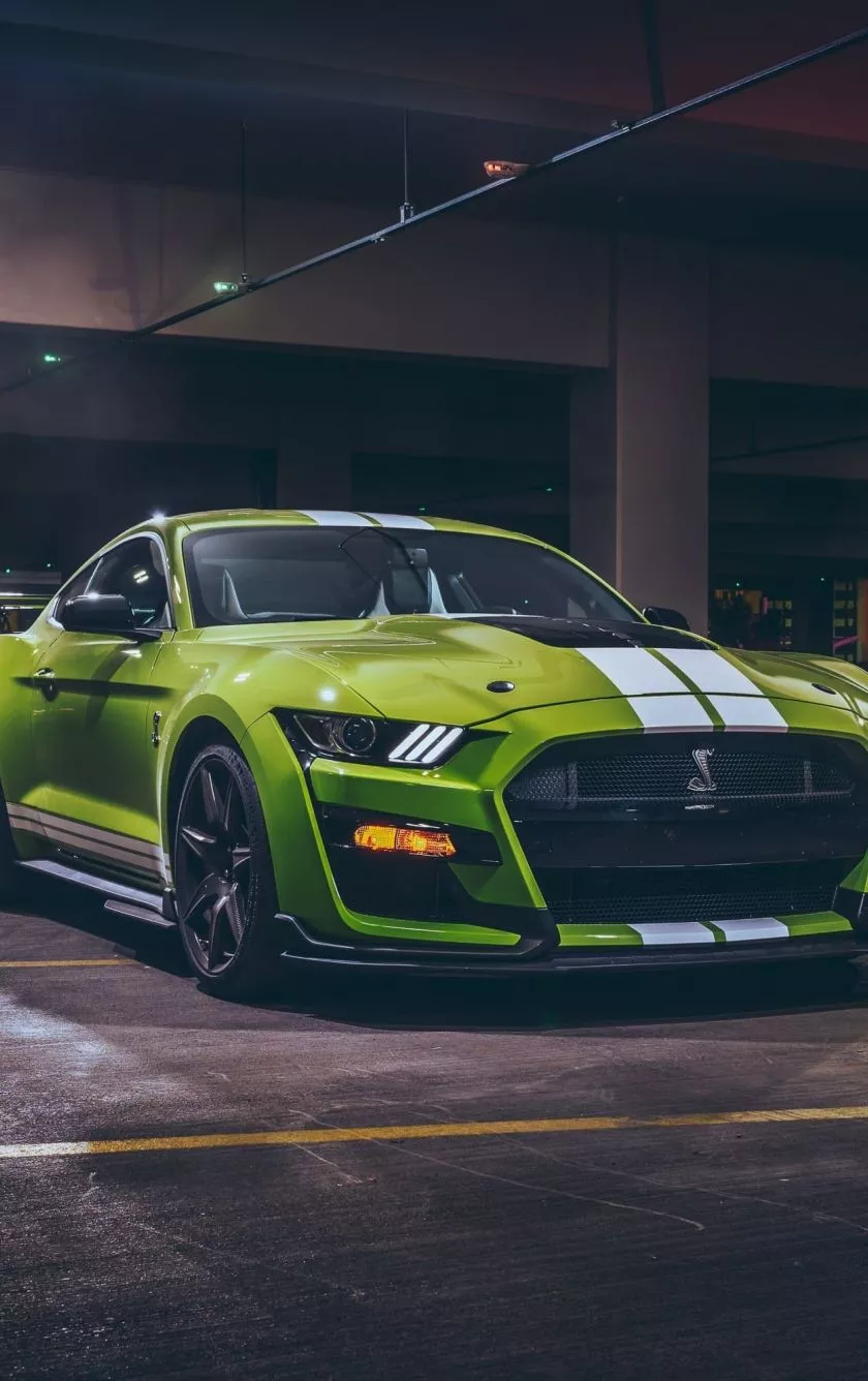 Download wallpaper 840x1336 green ford