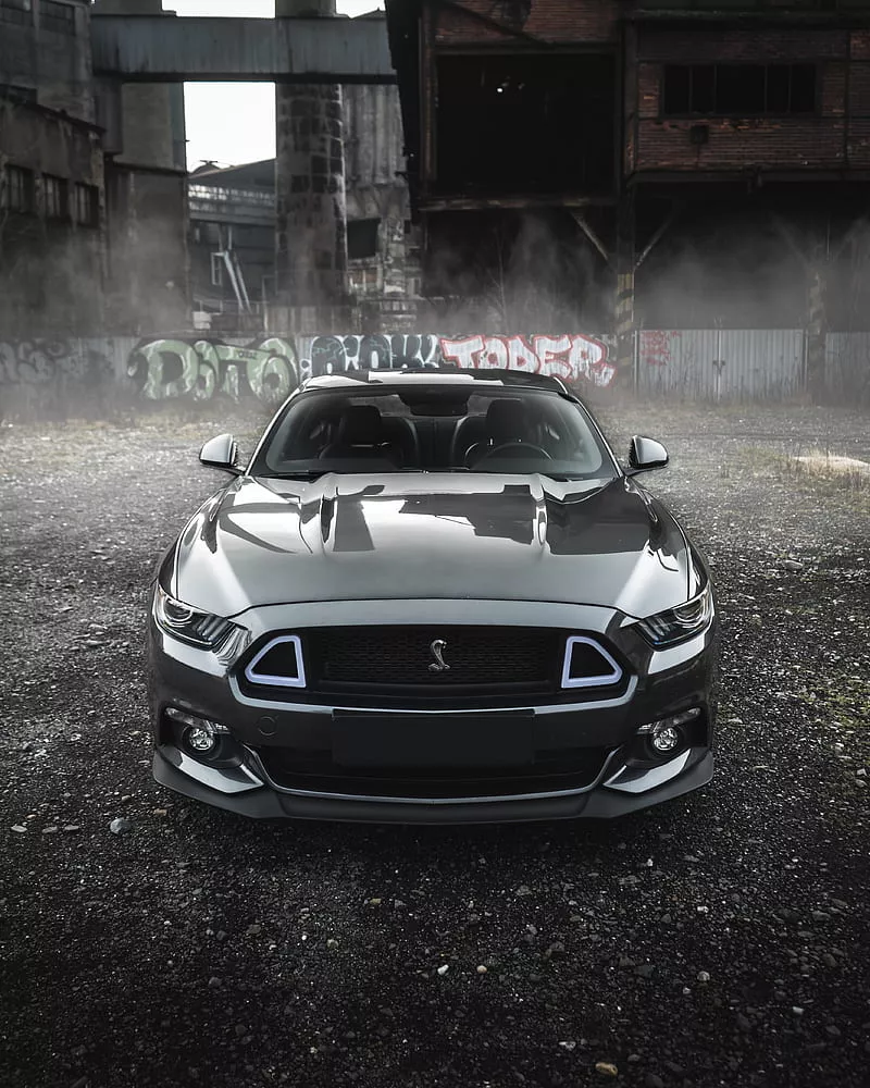 Shelby mustang, shelby, car, gray