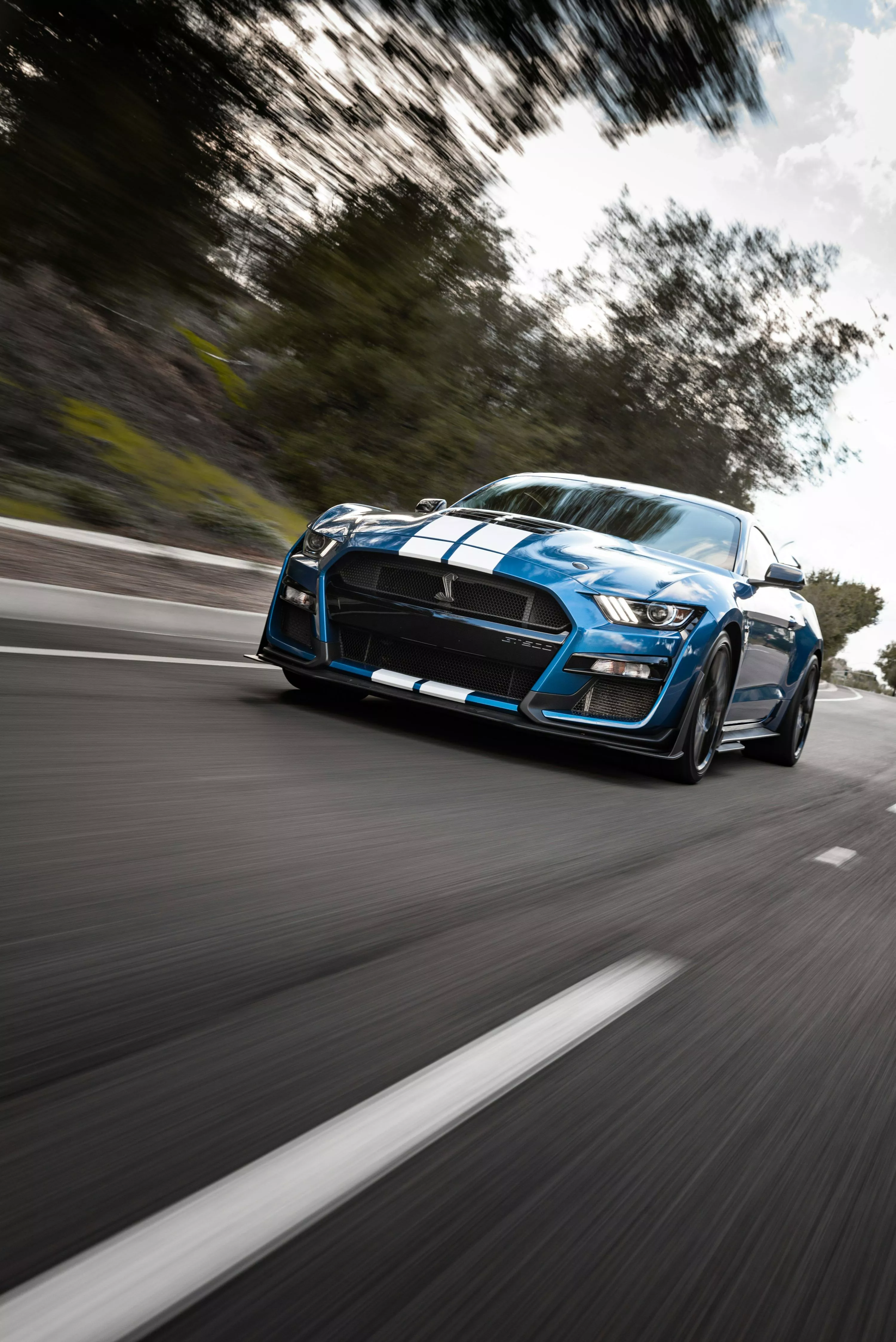 Mustang Shelby Picture. Download Free