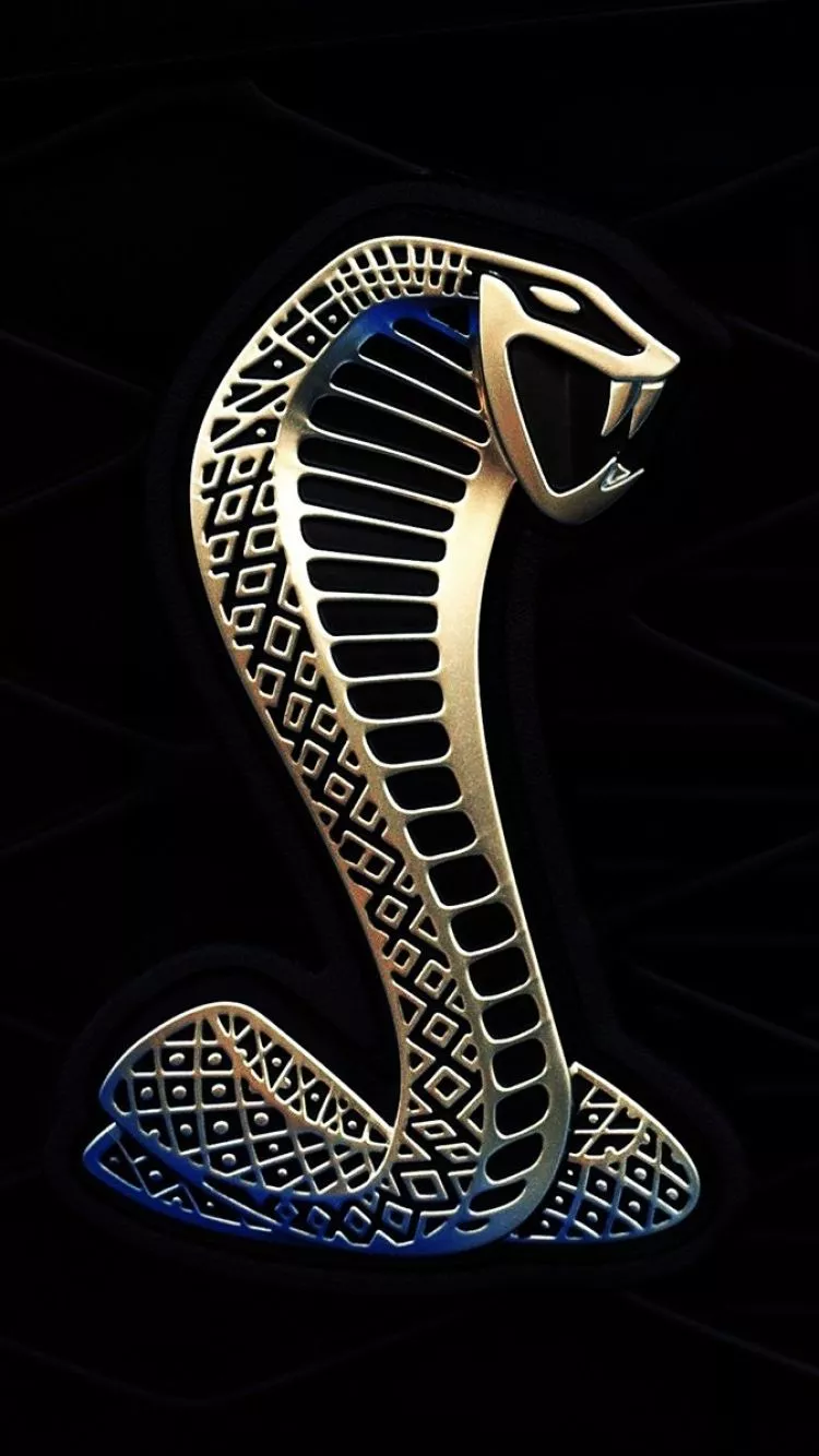 Ford Mustang Shelby Cobra Gt 500