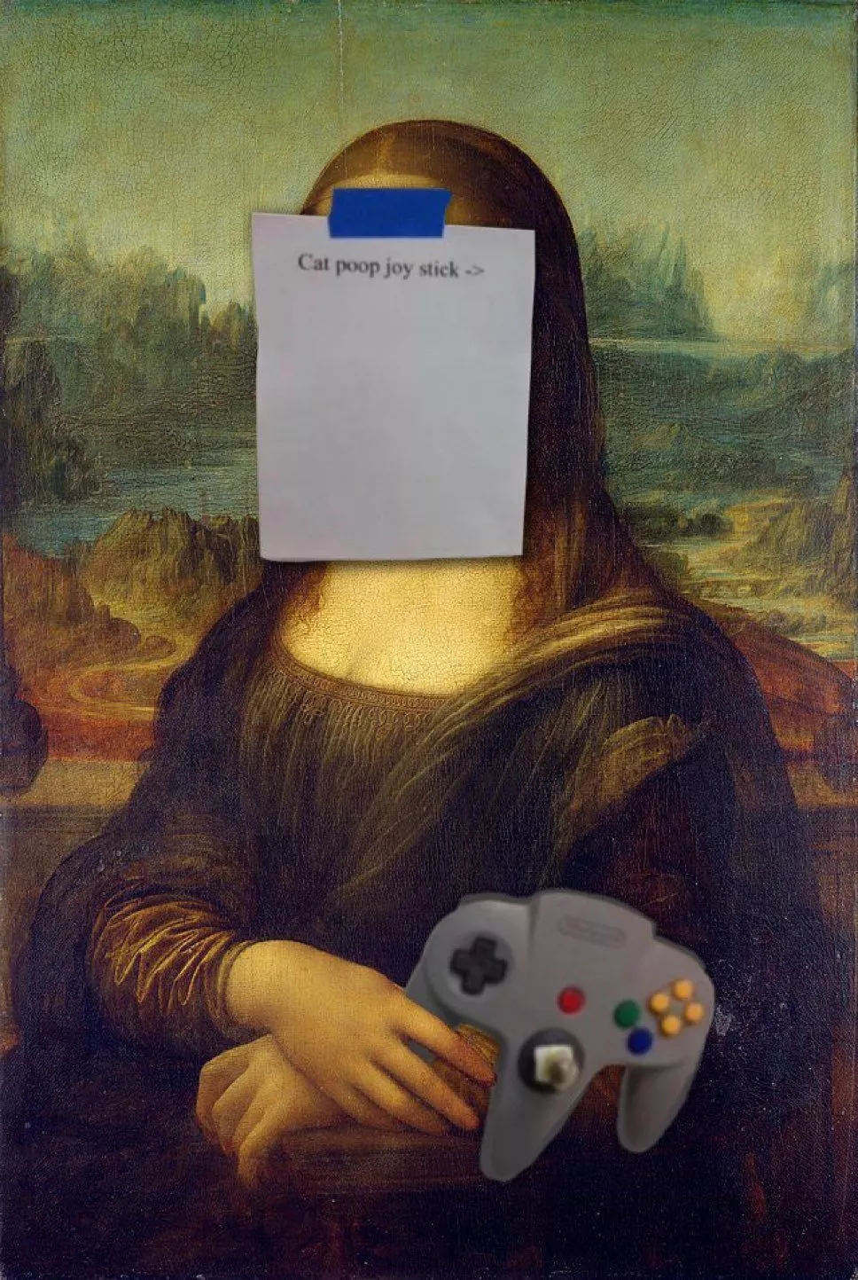 cat poop joy stick n64 controller