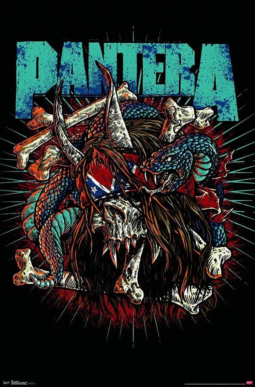 Pantera Groove Metal Rocker Skull