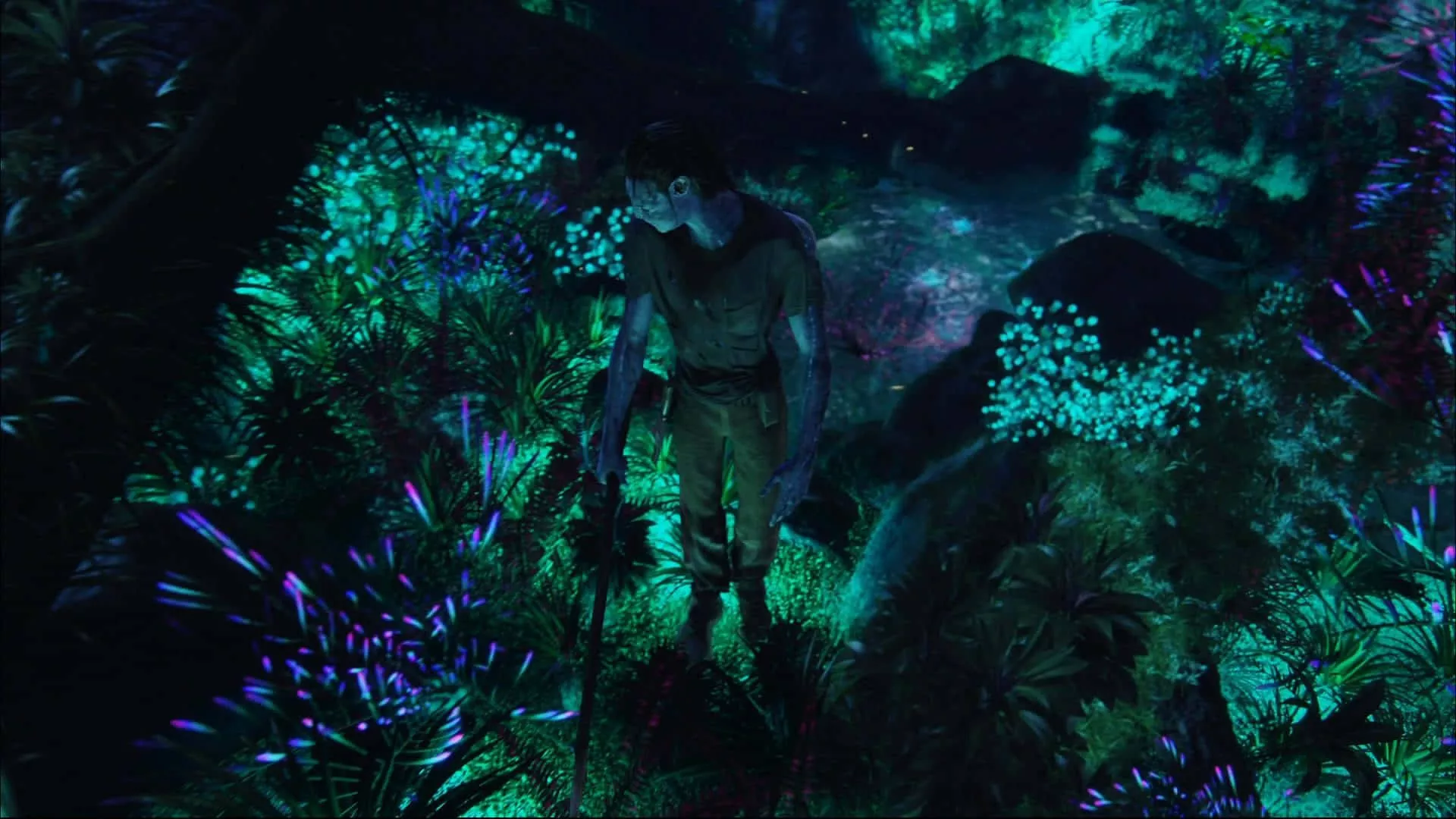 Avatar Pandoradark Forest Wallpaper