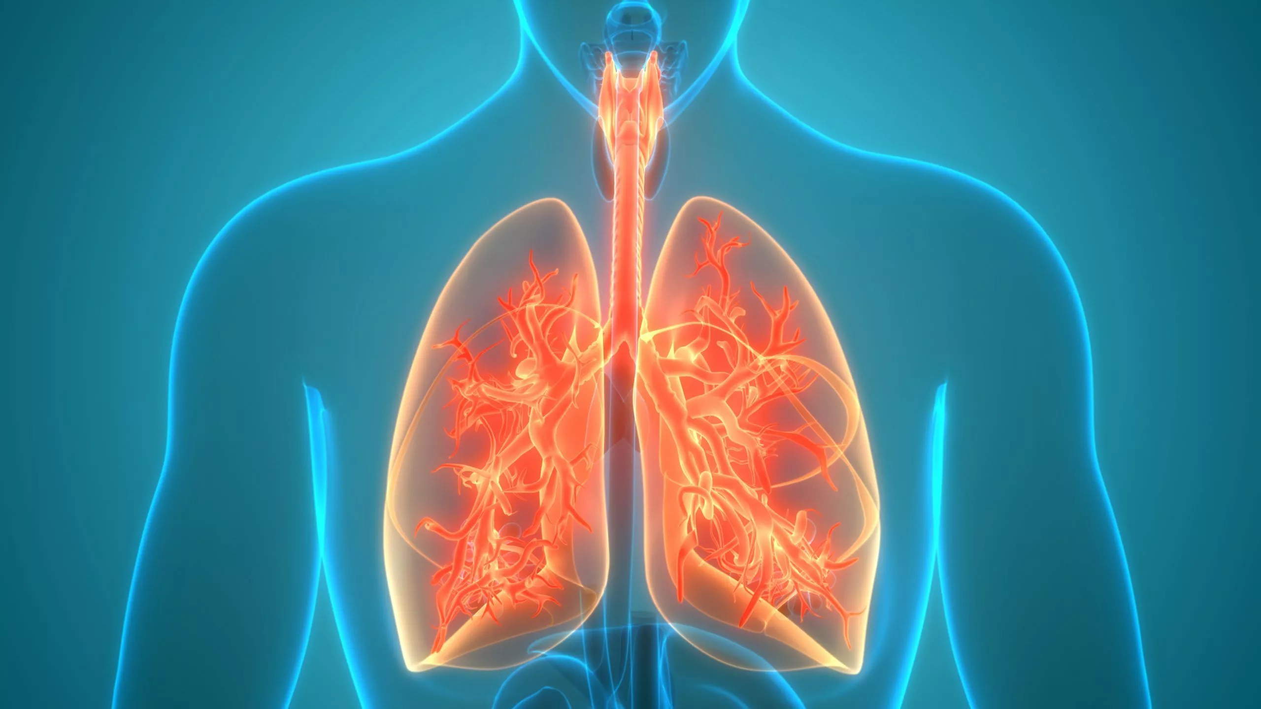 Why is tuberculosis one of the biggest