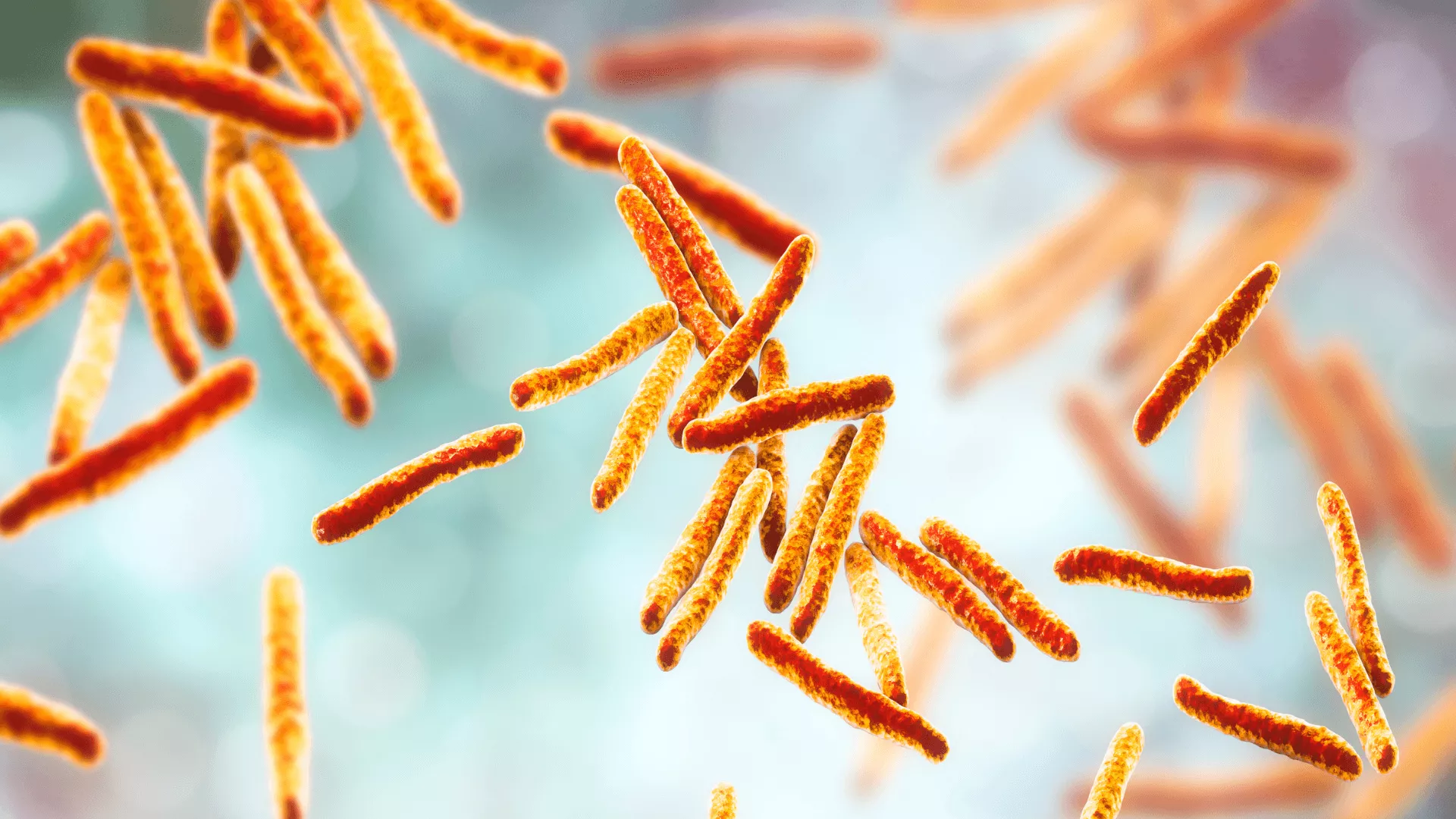 Tuberculosis