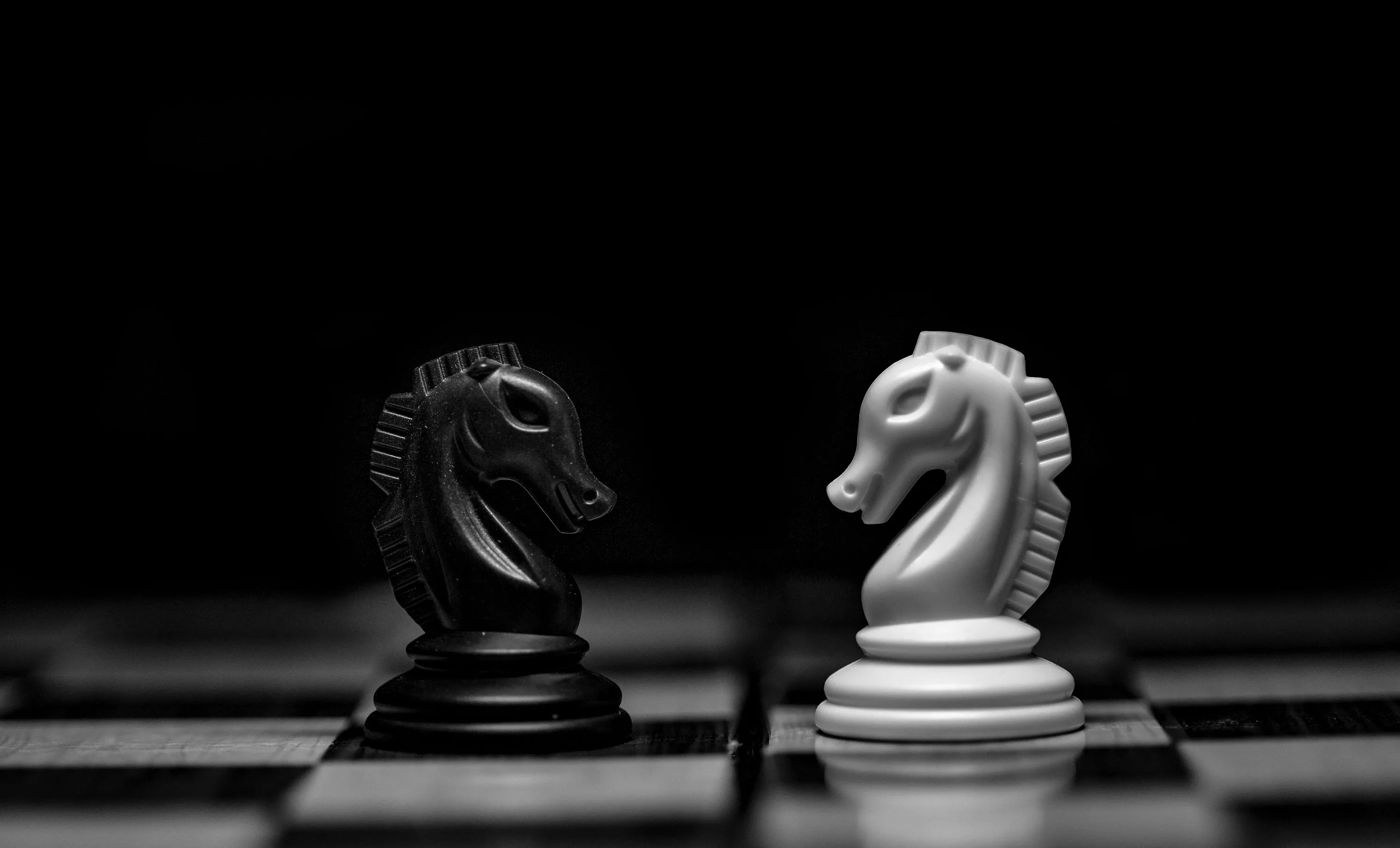 Chess Knight Picture. Download Free