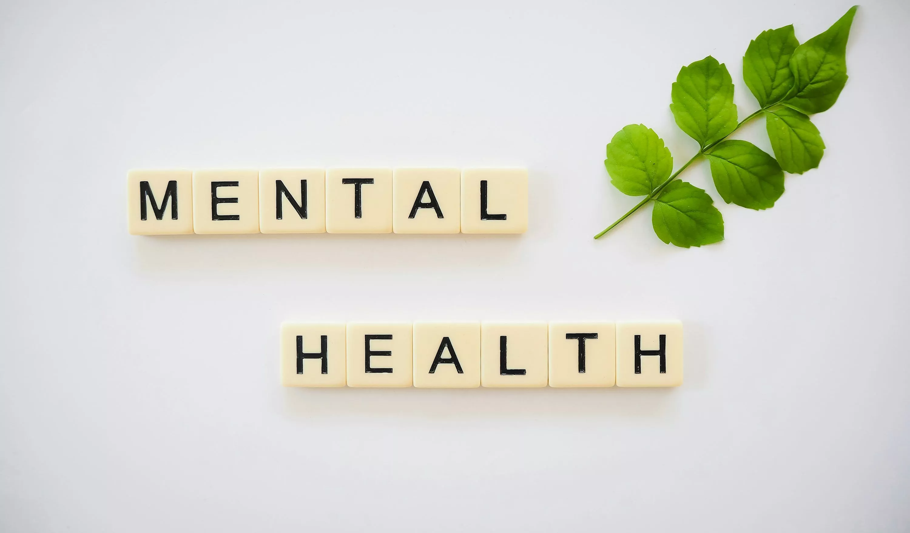 Mental Wellness Picture. Download