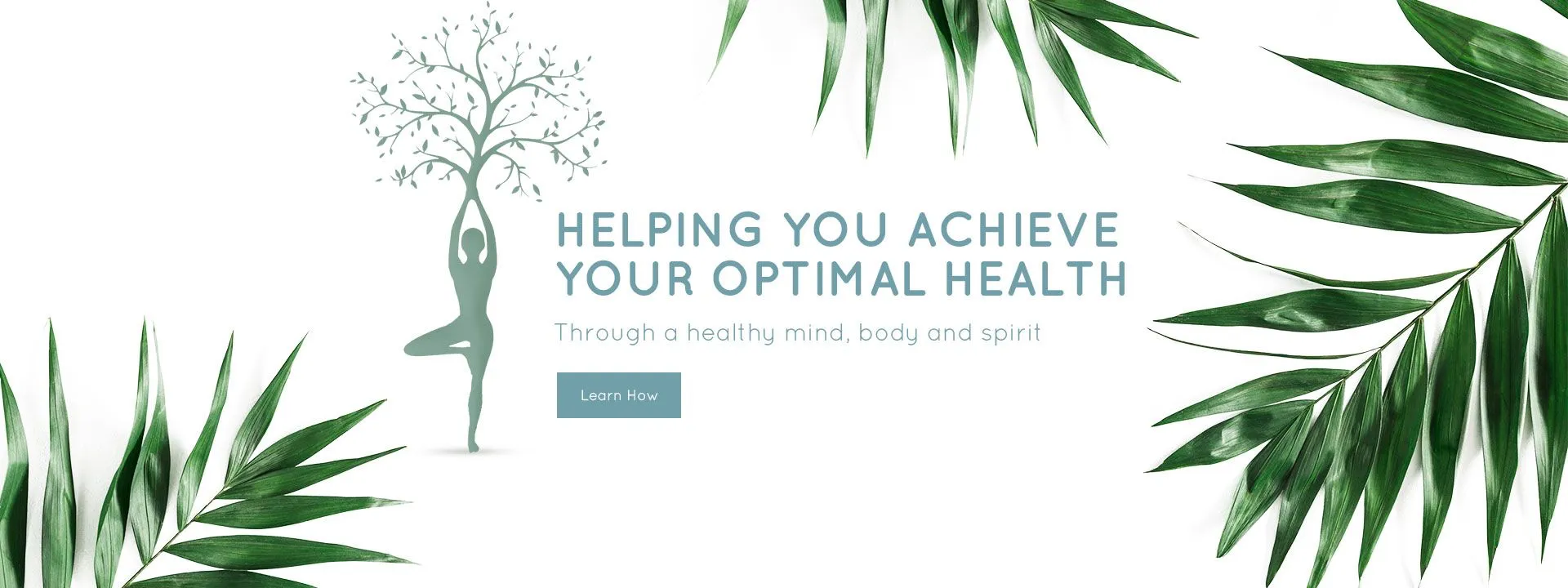 NP Optimal Health. Transforming Lives