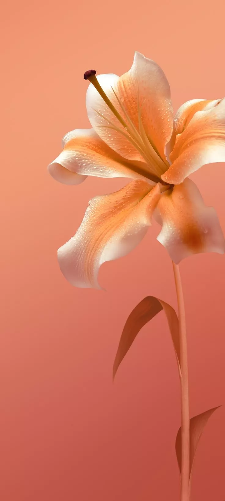 Vivo X30 Pro Wallpaper (YTECHB Exclusive)