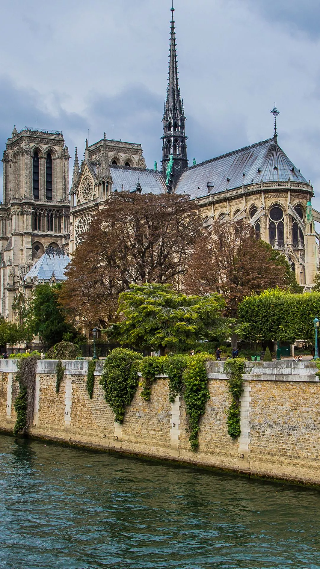 Notre Dame Cathedral Wallpaper 50