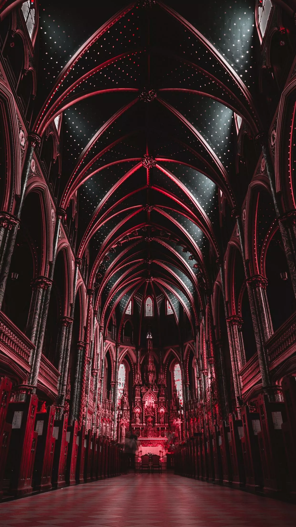Notre Dame Cathedral Basilica Wallpaper
