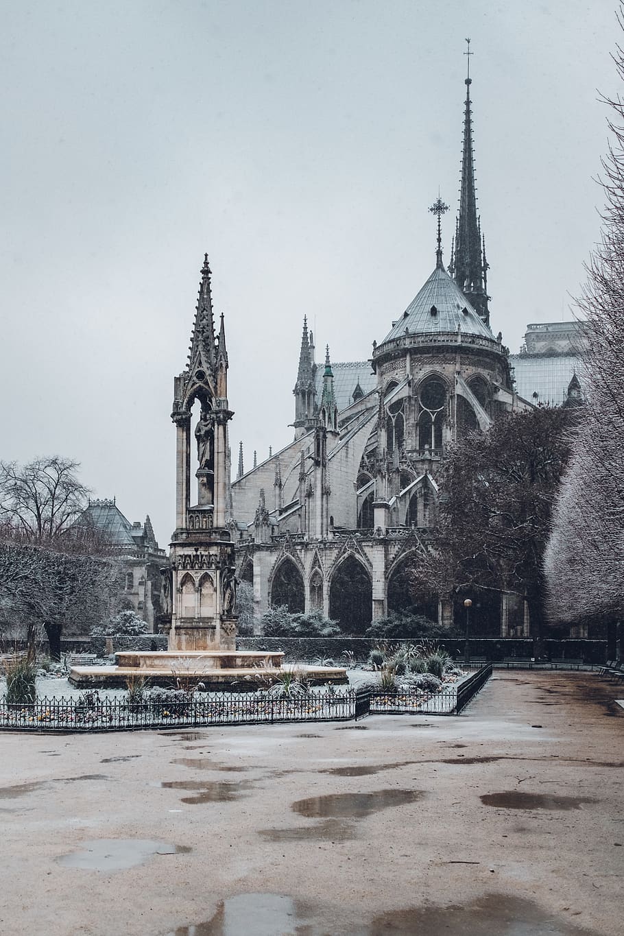de paris, cathedral, cathedrale