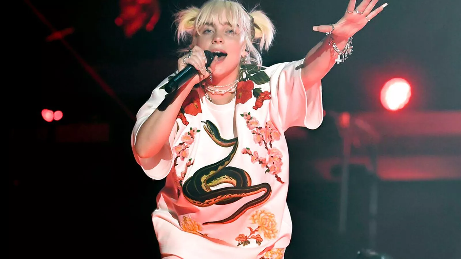 Billie Eilish halts concert to help fan