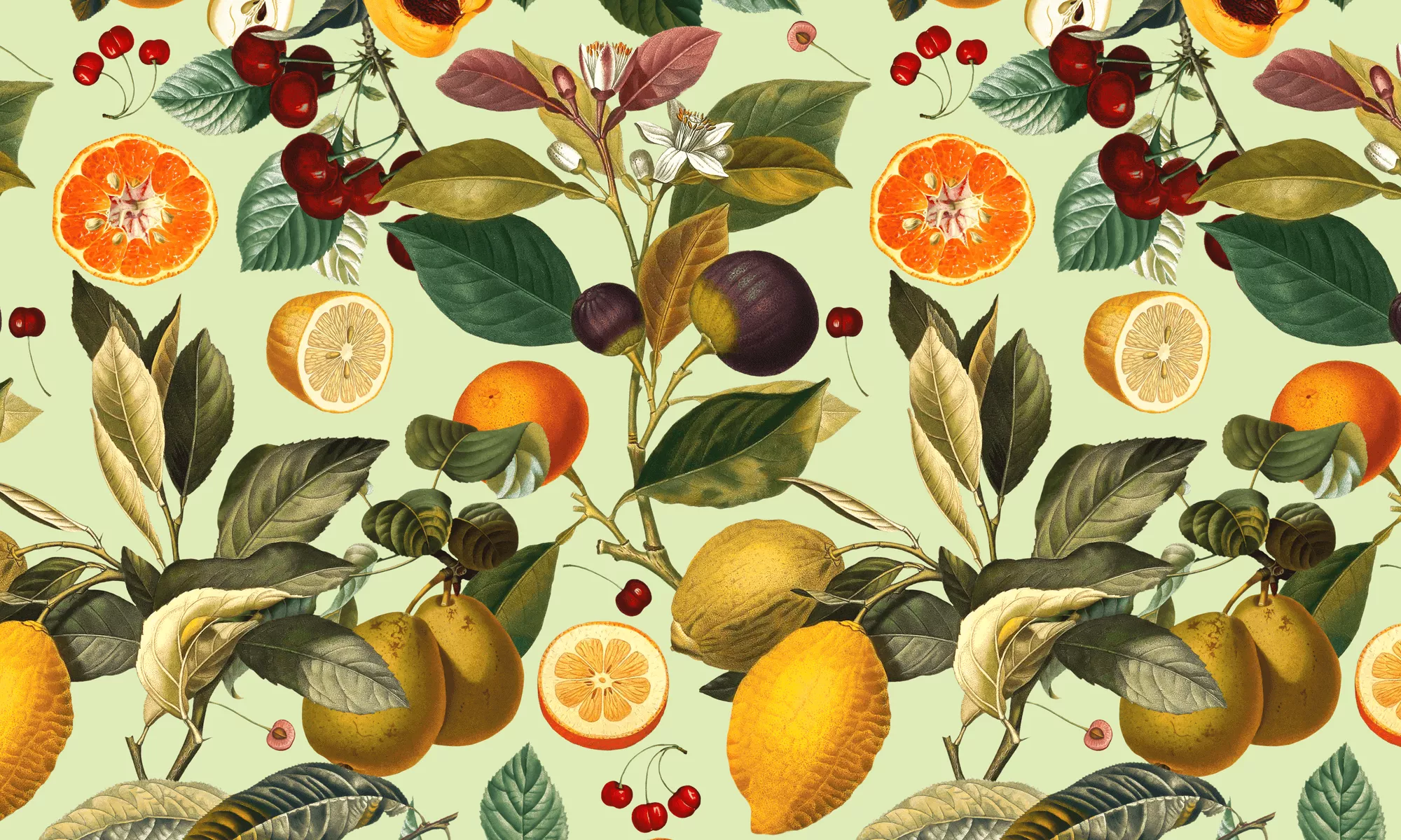 Citrus Wallpaper is the Juicy New Trend