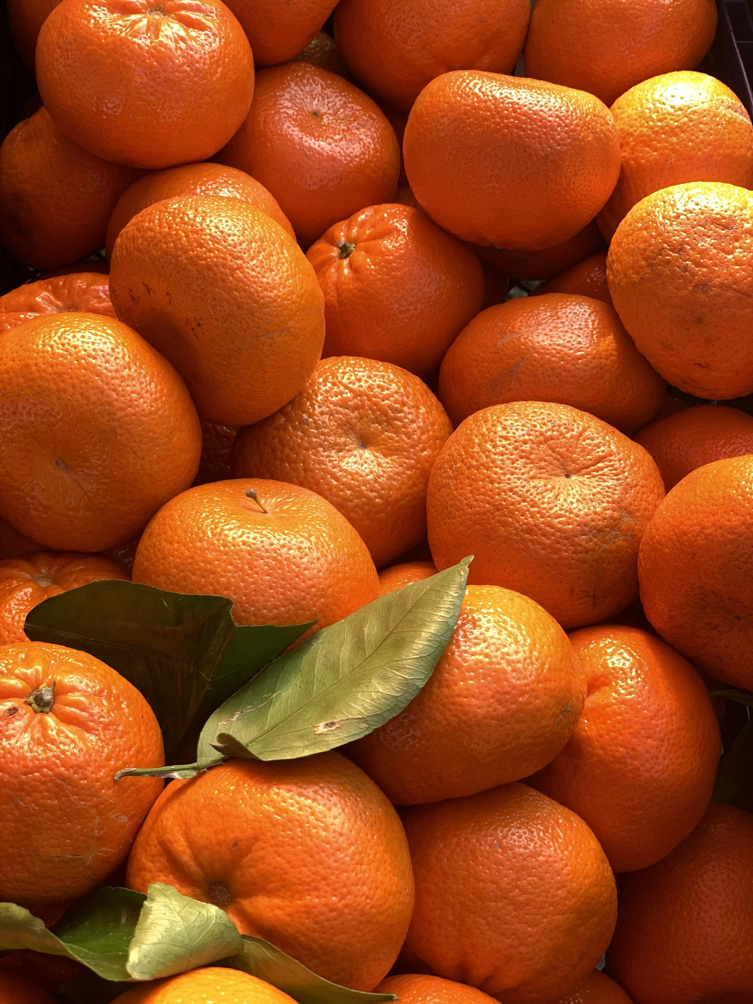 Citrus Fruit Picture HD
