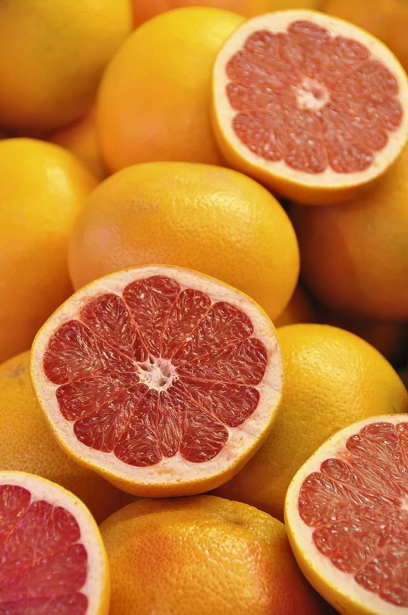 Grapefruit, citrus, fruit, yellow, HD