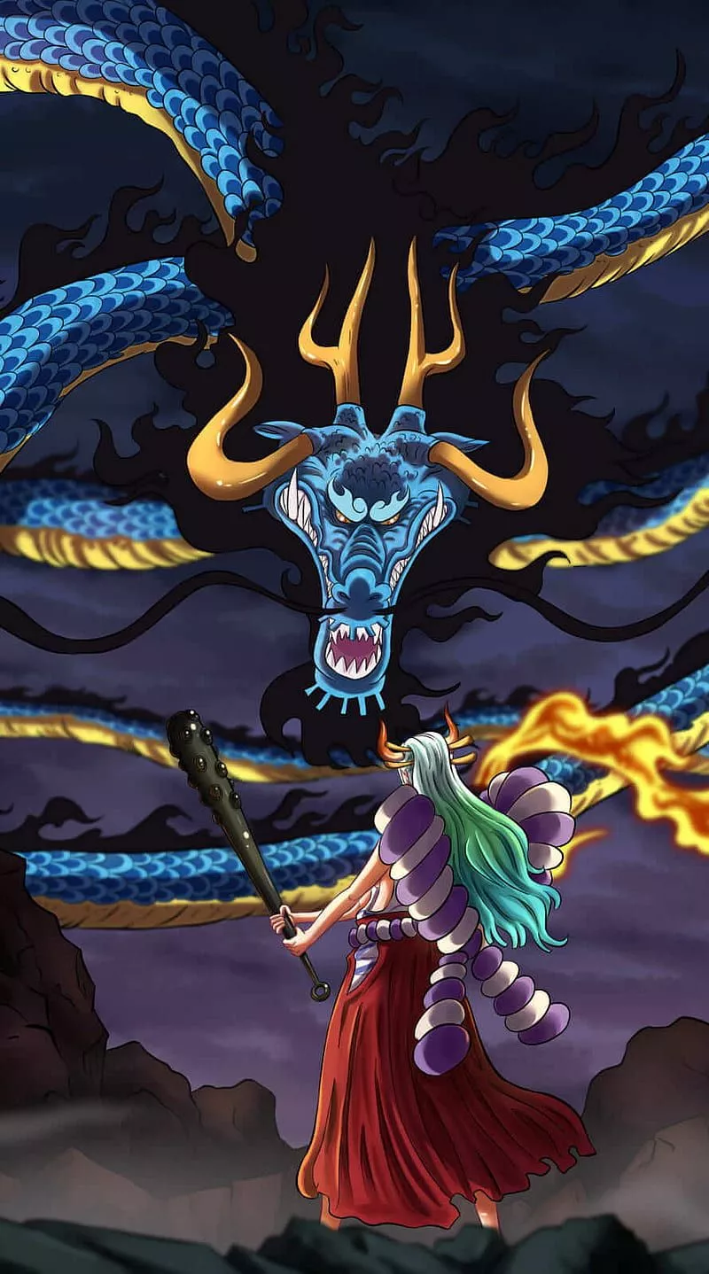 Kaidou fight one piece anime character iPhone 14 pro max 20 13 pro max, HD phone wallpaper