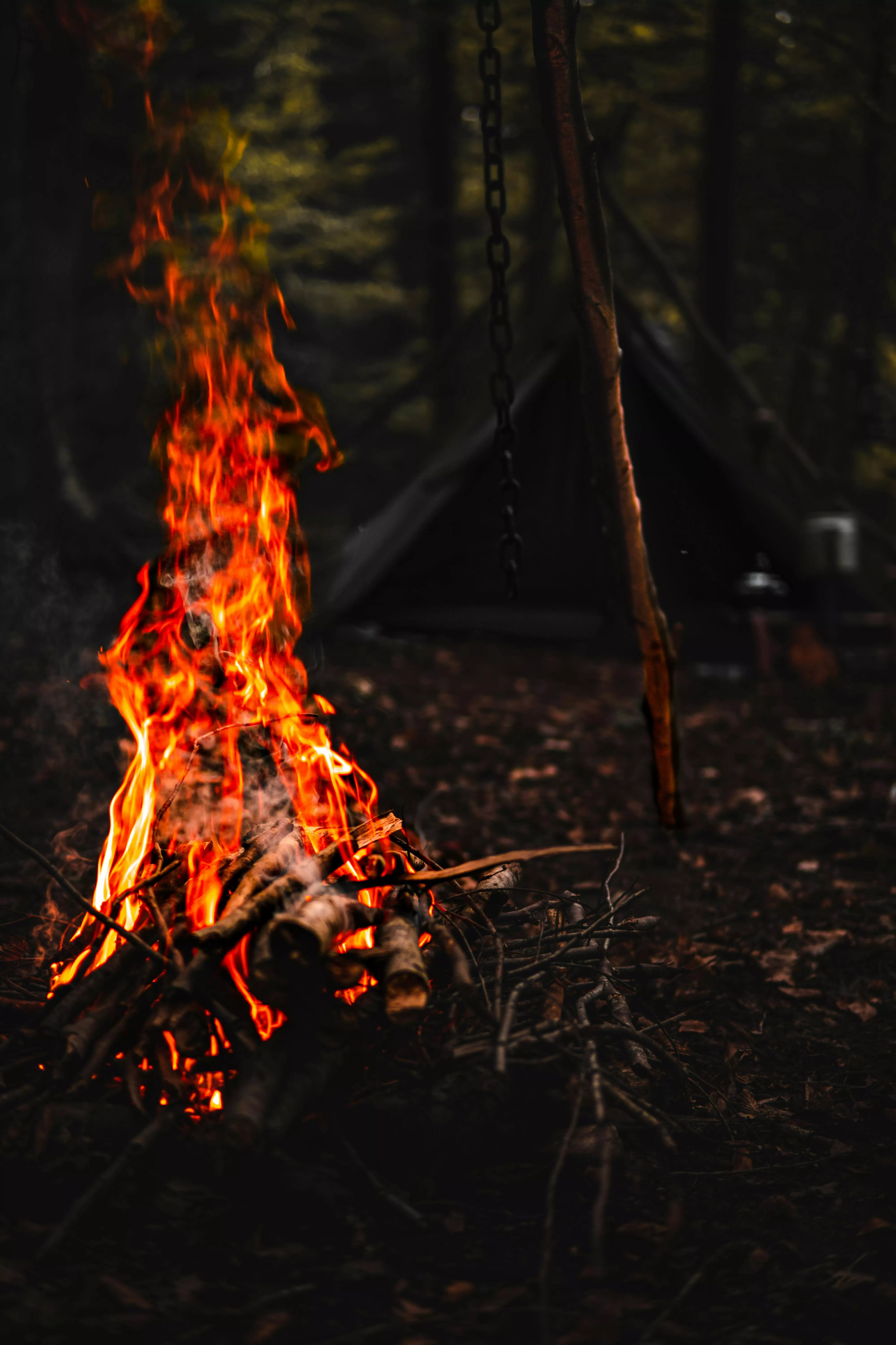 Bonfire at Camping · Free