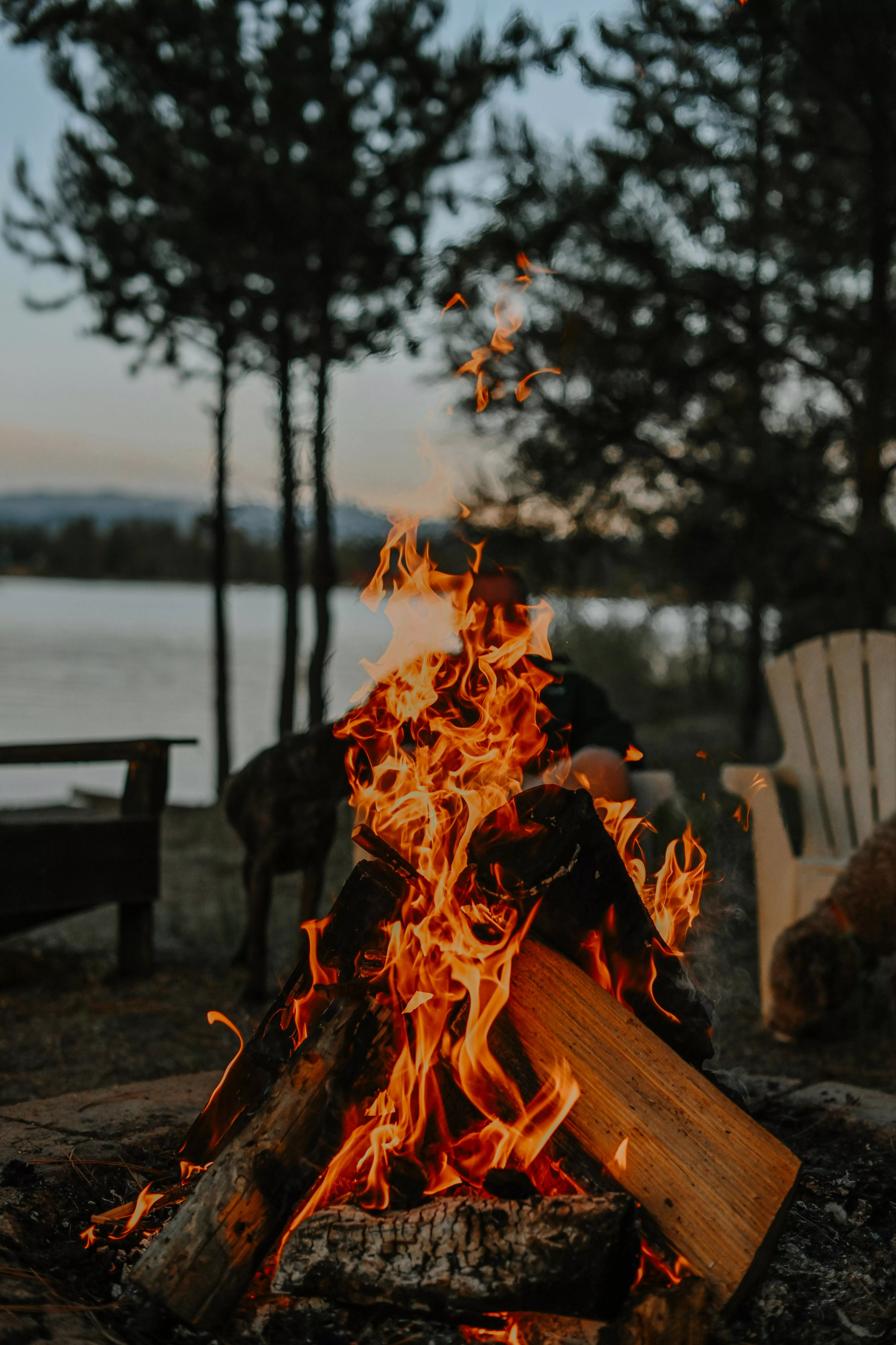 Photograph of a Campfire · Free