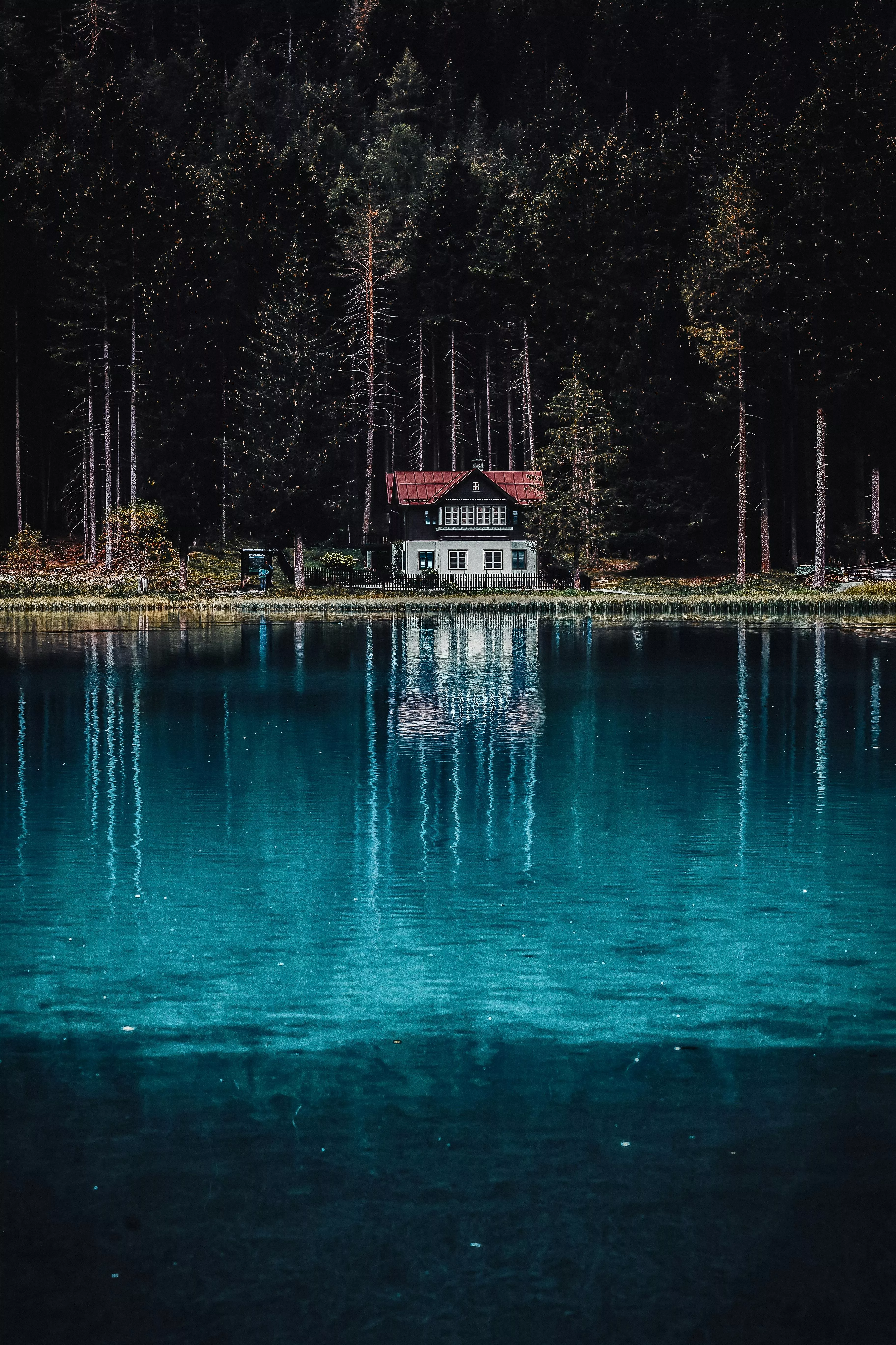 House Near Lake · Free