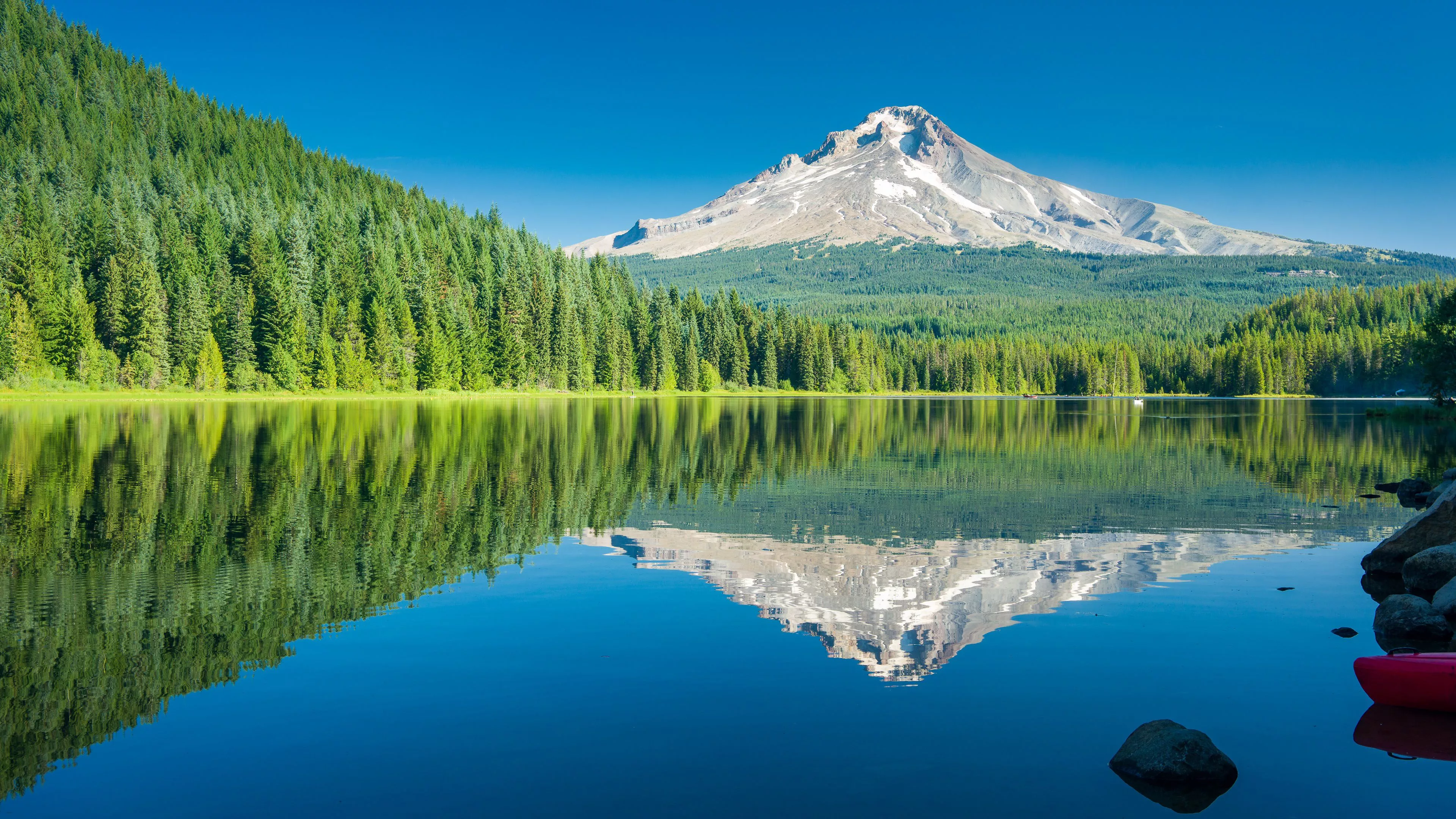 Forest Lake Mountain Nature Reflection 4K HD Nature Wallpaper
