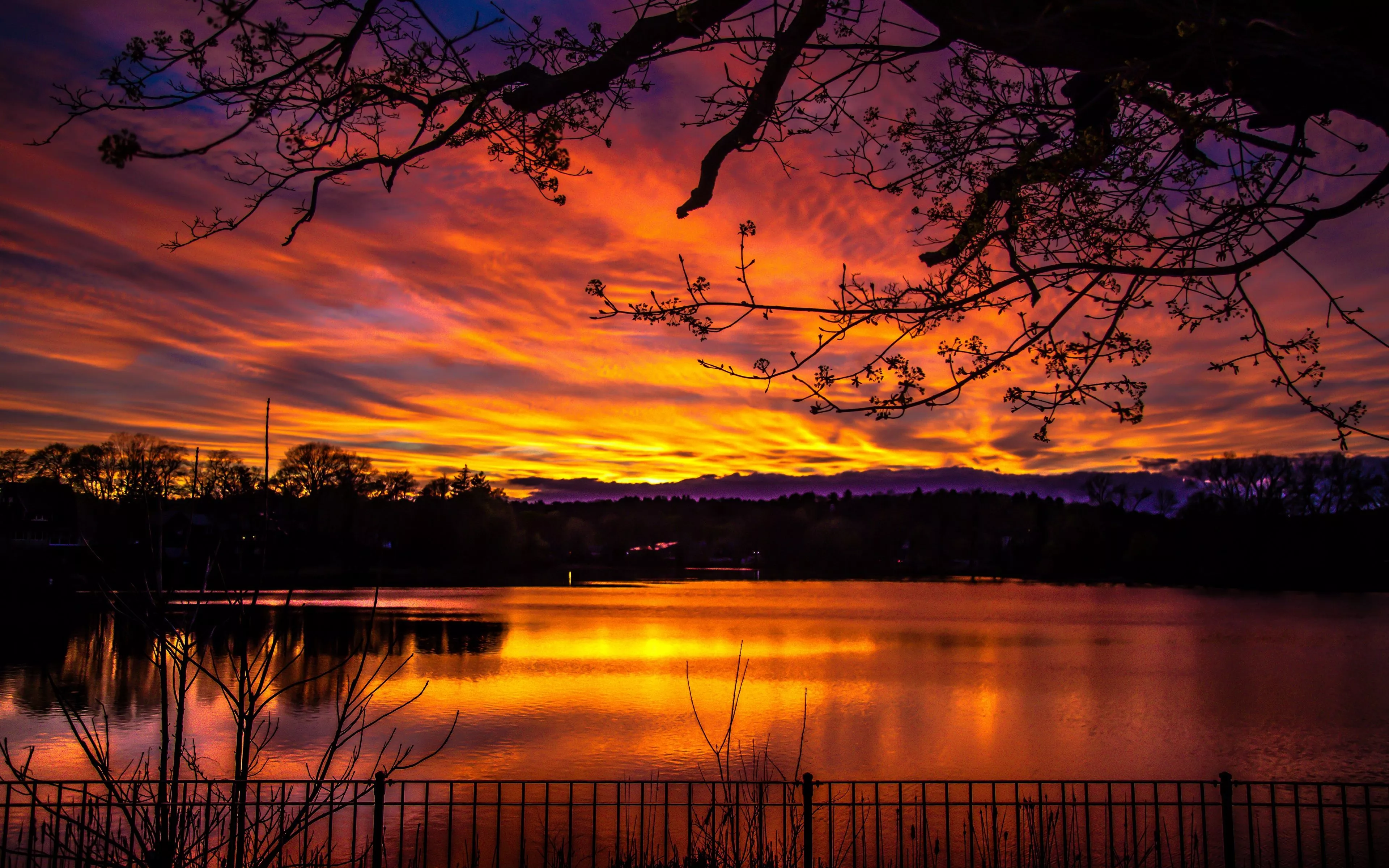 Wallpaper colorful, dark, sky, trees